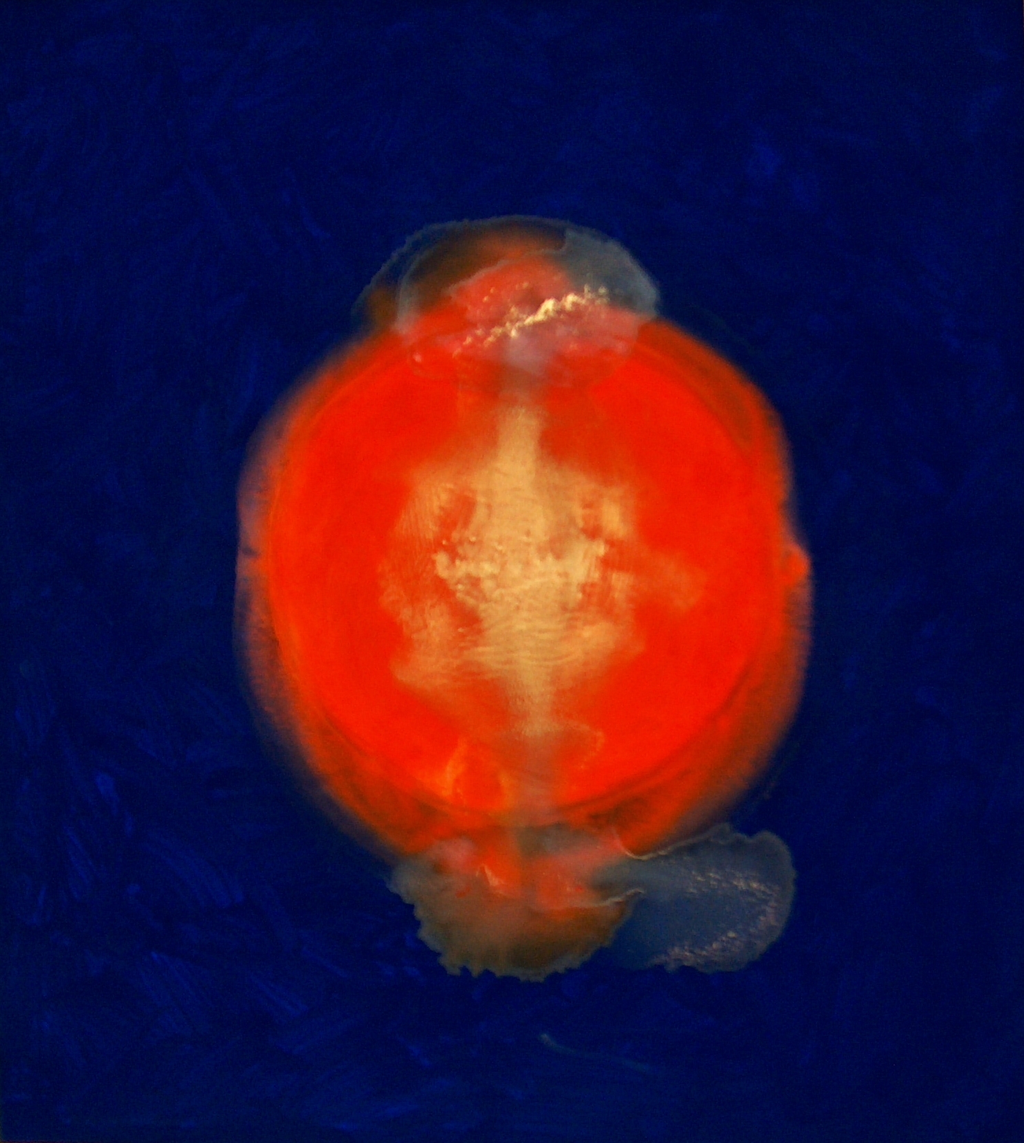 surya / sun