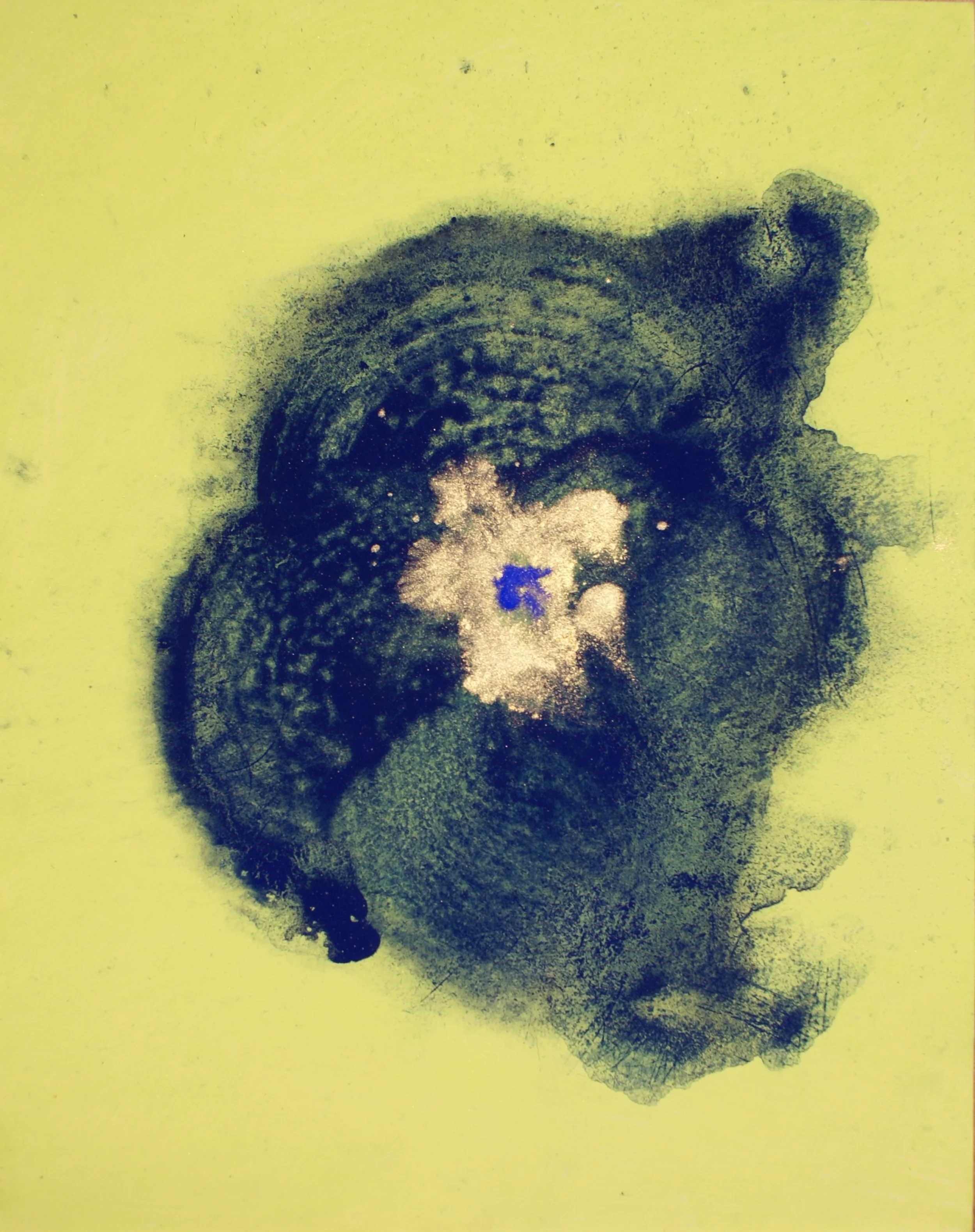 serendib taprobhane II pigments with egg tempera on paper 45 x 35,5 cm 2009 sri lanka