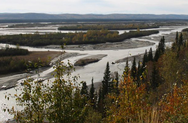 The Tanana River is a wide, glacially fed river with many channels and sloughs. (Original image by Liz via Flickr )