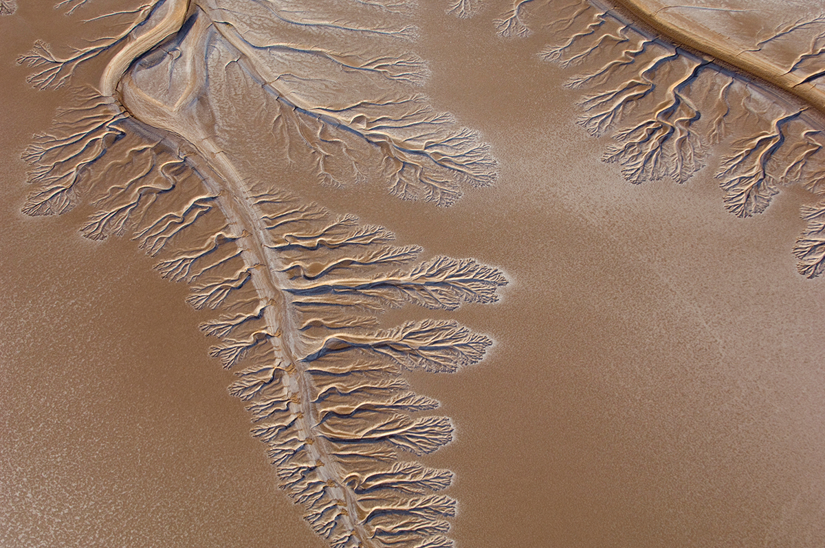 The leading edge of the Colorado River in 2009, five miles short of the ocean. (Image by Pete McBride via U.S. Geological Survey )