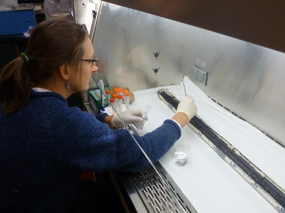 Study co-author Dr. Lee Ann Sporn extracting samples from a sediment core in the lab. (Image by Dr. Curt Stager)