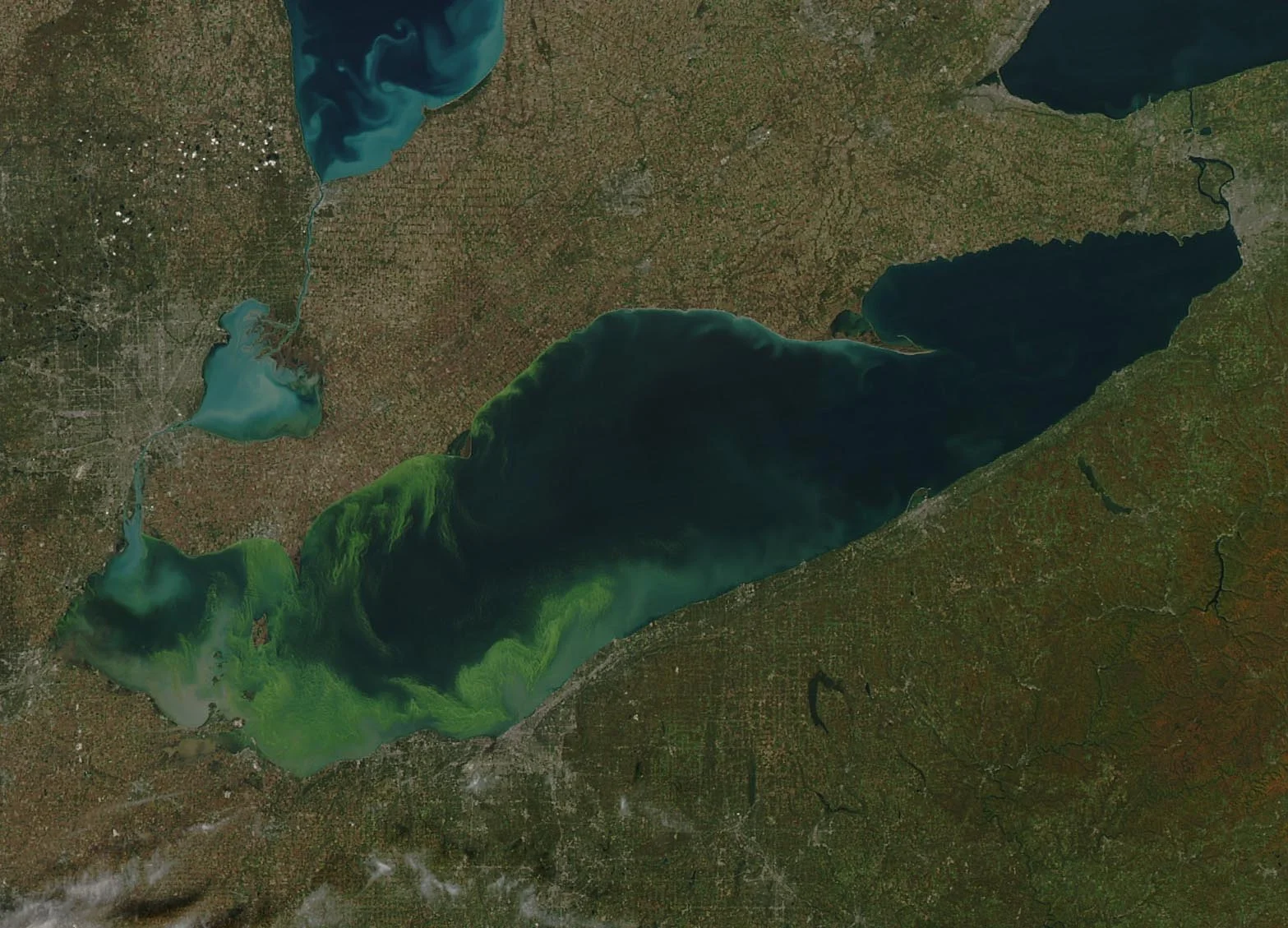 An algal bloom in Lake Erie, in early October 2011. Decomposing algae during and after a large bloom can result in hypoxic zones. (Image by NASA via Flickr /Creative Commons license)