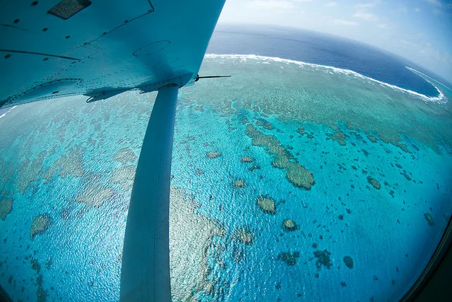 Australia's Great Barrier Reef World Heritage Area stretches over 1,000 miles along the coast of Queensland. (Image by Tchami via Flickr : Creative Commons license)