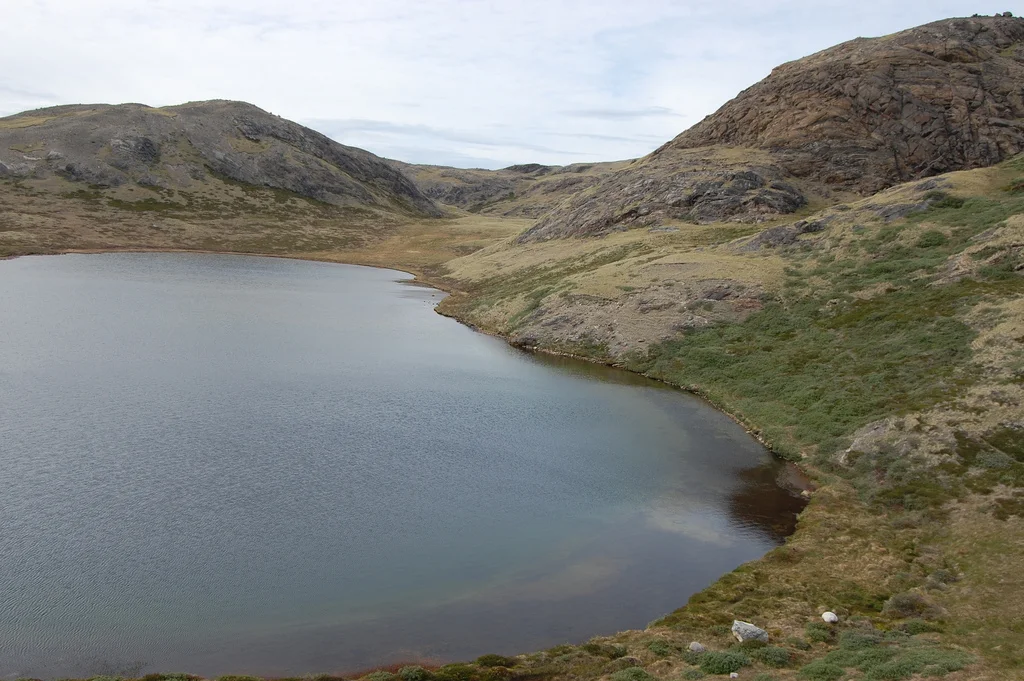 Lakes and ponds are scattered across the Arctic landscape near Kangerlussuaq, Greenland, where Trout-Haney and her colleagues spotted sea tomatoes growing on lake bottoms. (Image by Miss Copenhagen via Flickr ; creative commons license)