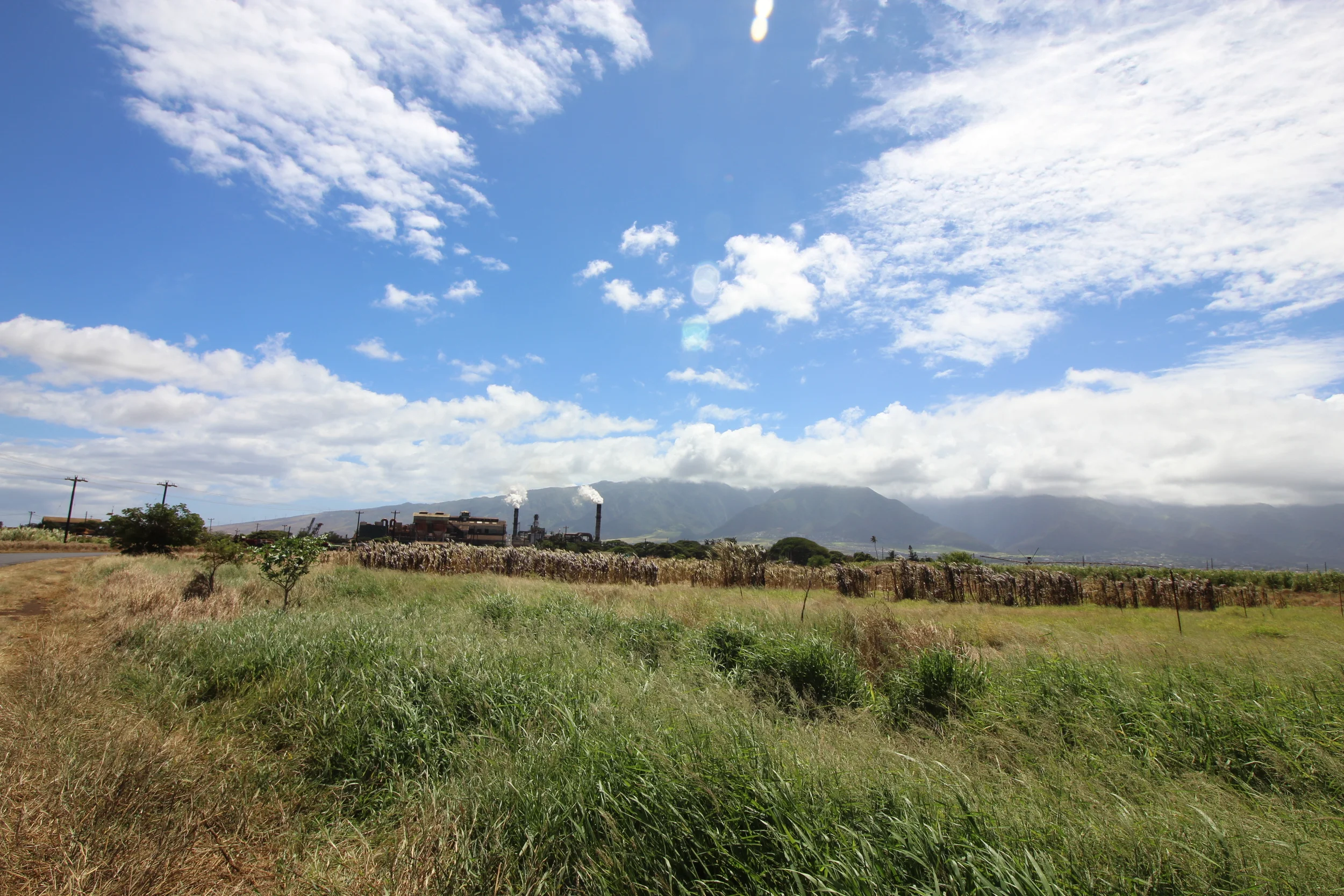 Sugar Cane Factory- Maui