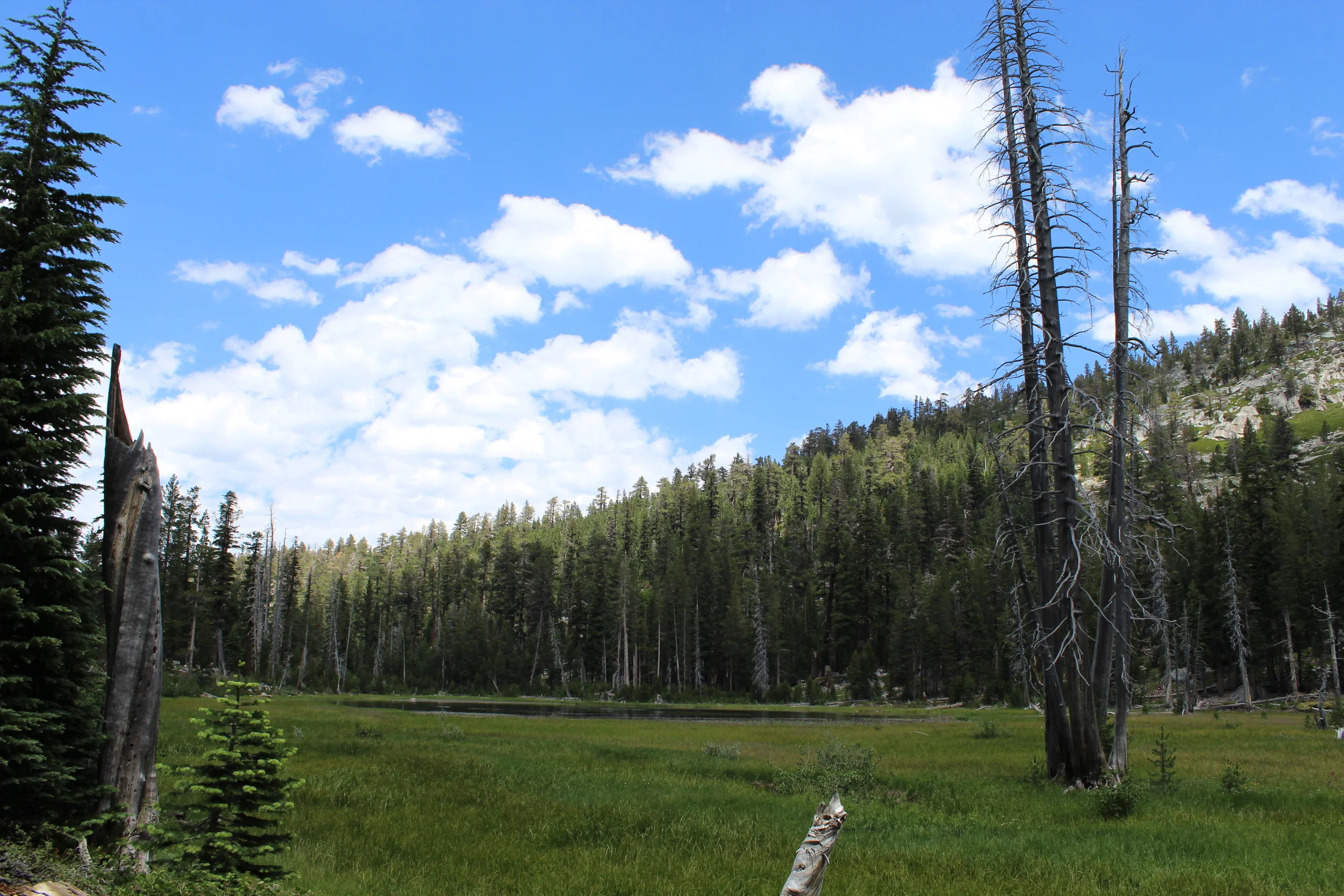 Pacific Crest Trail