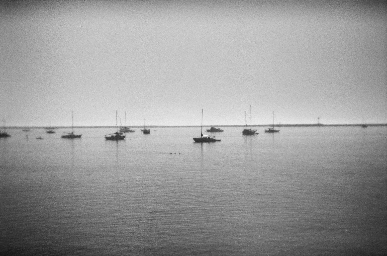 Half Moon Bay, CA 35mm film