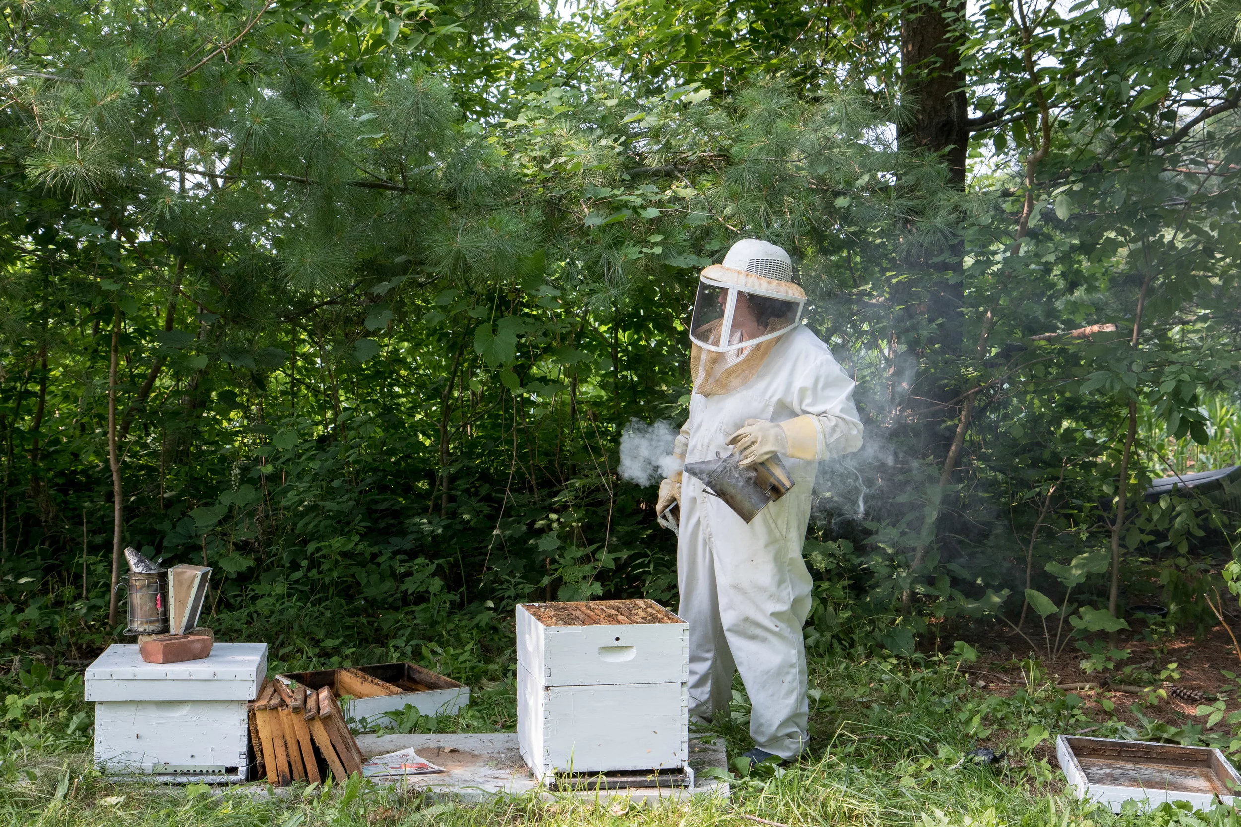 christielynncaputo-beekeeping-3.jpg