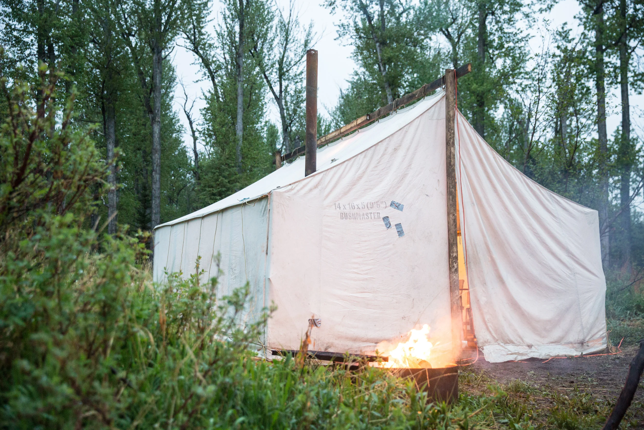 christie-lynn-caputo-alberta-bearhunt-2016-44.jpg