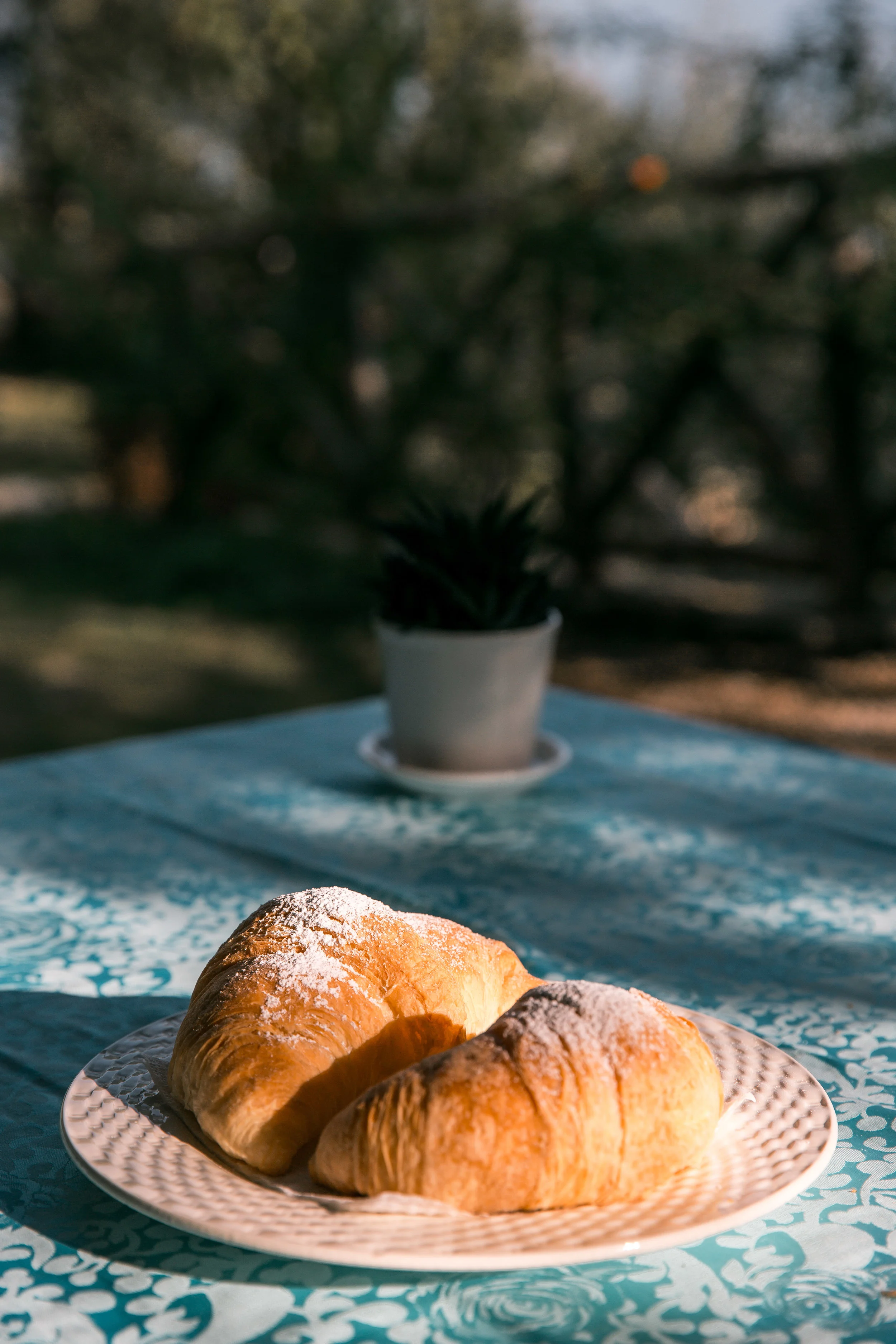 christie-lynn-caputo-edible-3.jpg