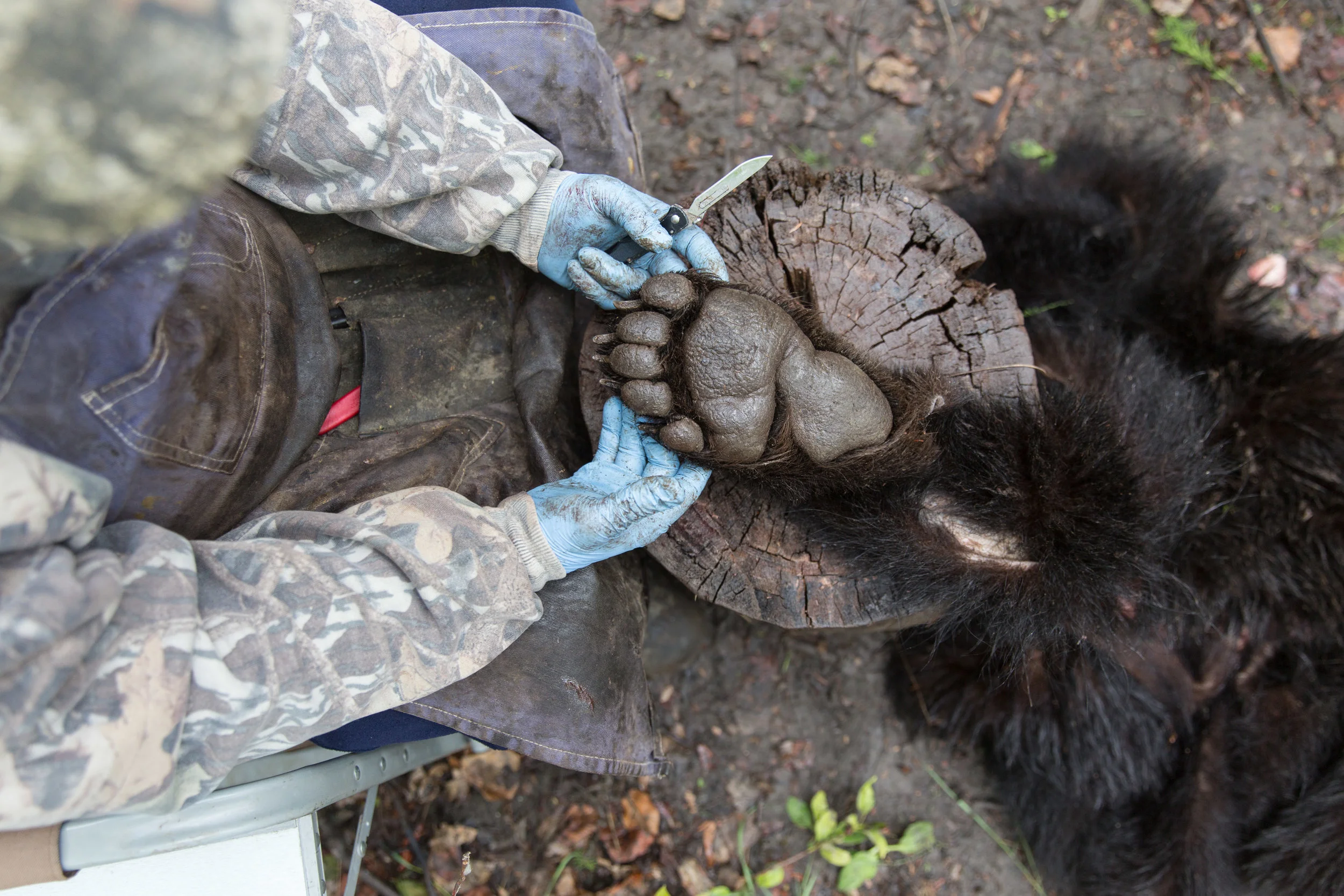 christie-lynn-caputo-athabasca bear hunt-2016-020.jpg