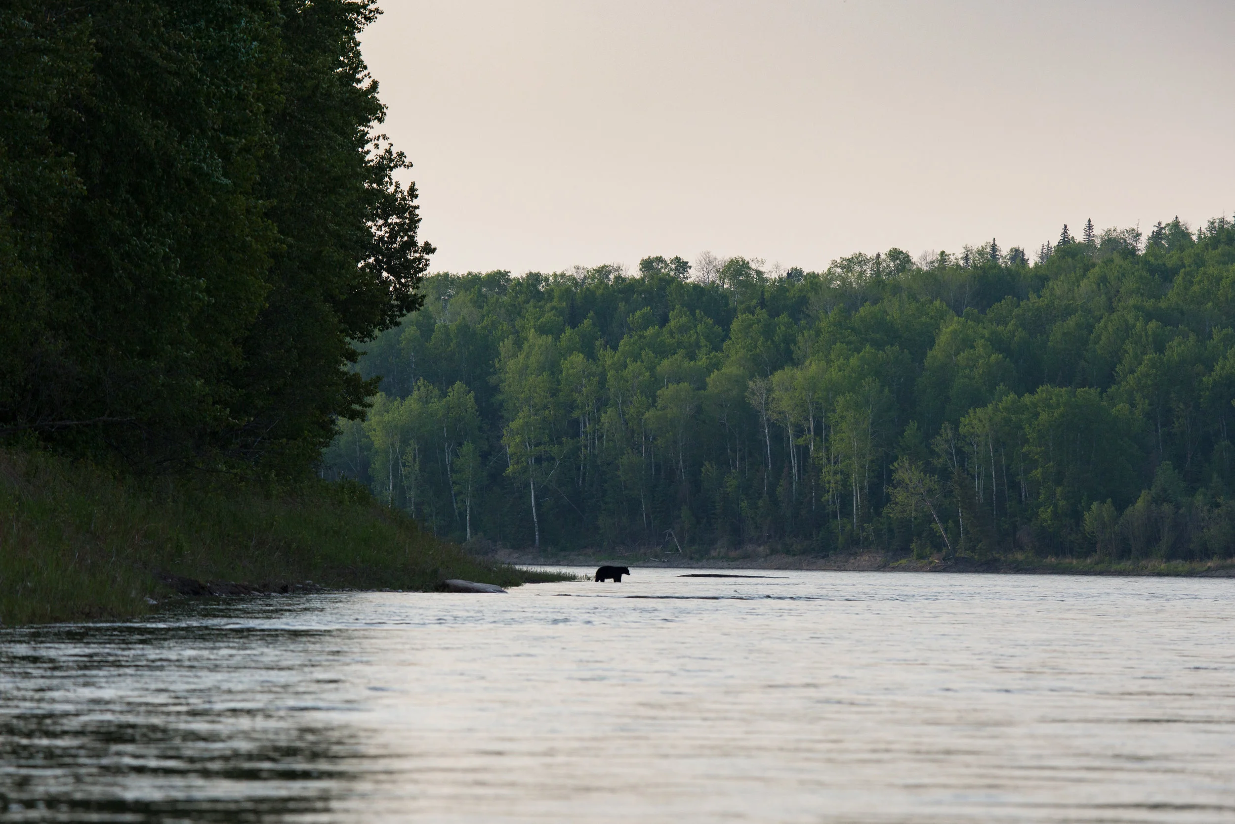 christie-lynn-caputo-athabasca bear hunt-2016-055.jpg