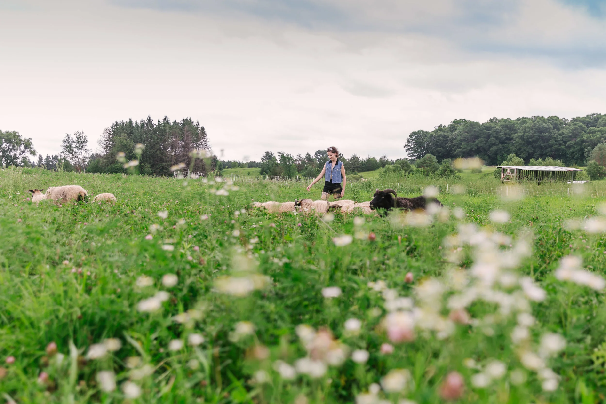 christie-lynn-caputo_hipcamp_pony-hill-glamp-mn-00176.jpg