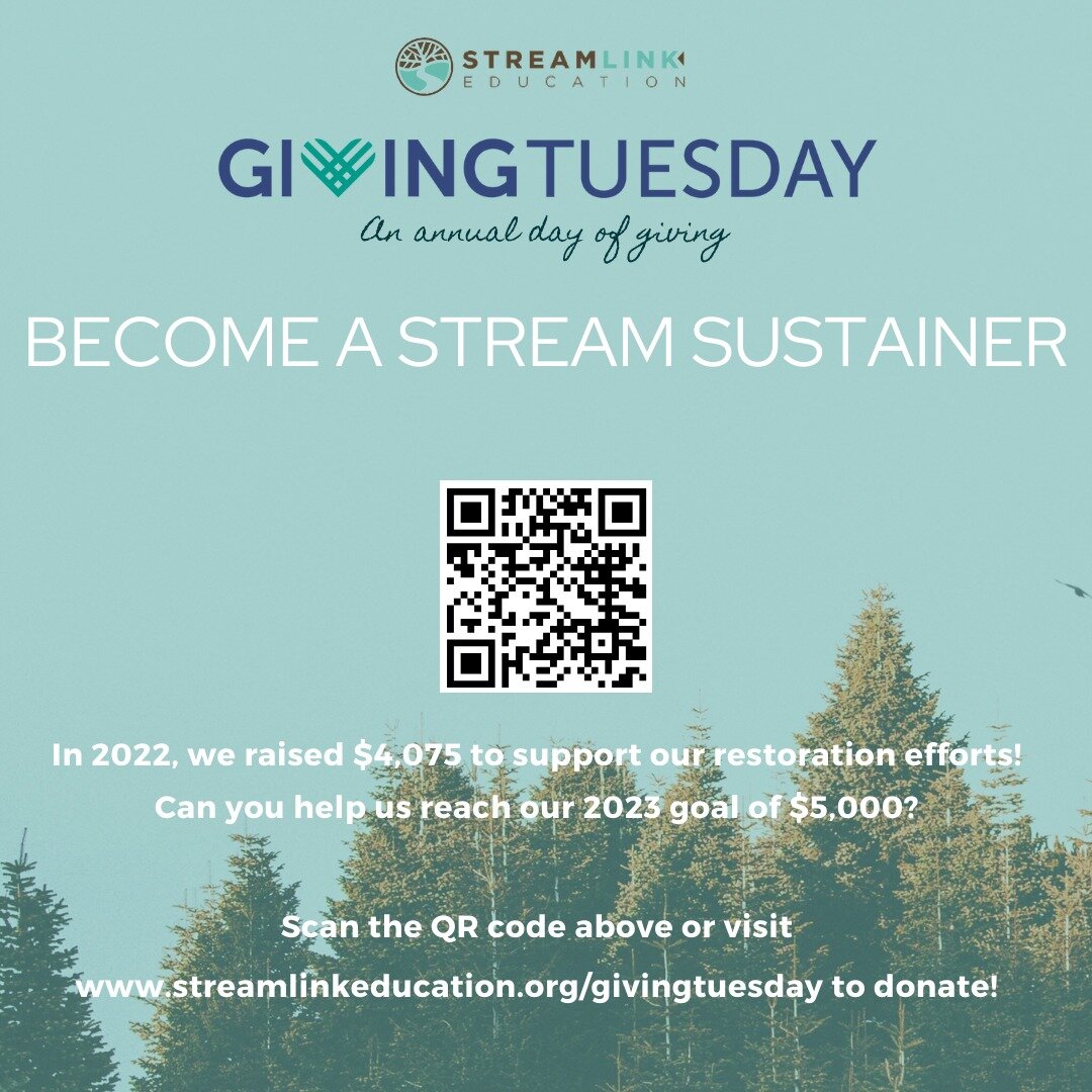 Happy #GivingTuesday - after all your holiday shopping this past weekend, today is a day of giving back to the causes you care about. By donating your time and/or money to Stream Link, you're directly supporting our efforts to reforest Frederick Coun