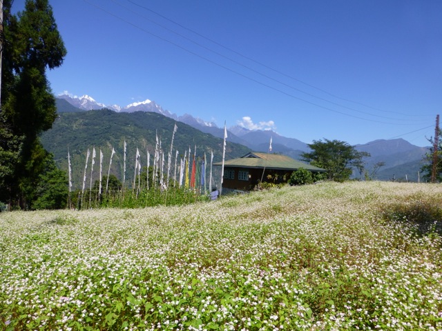 View from Tashiding