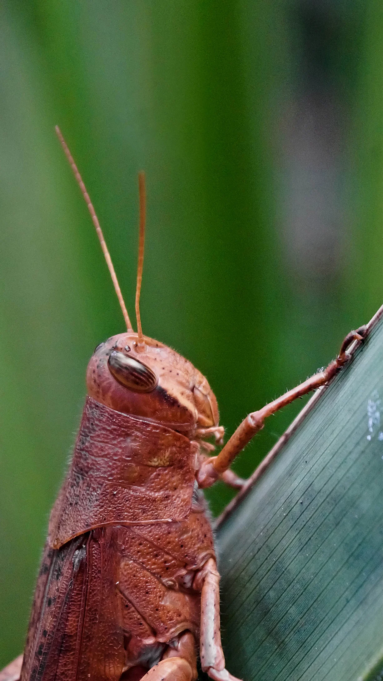 WOI0028LR.jpg