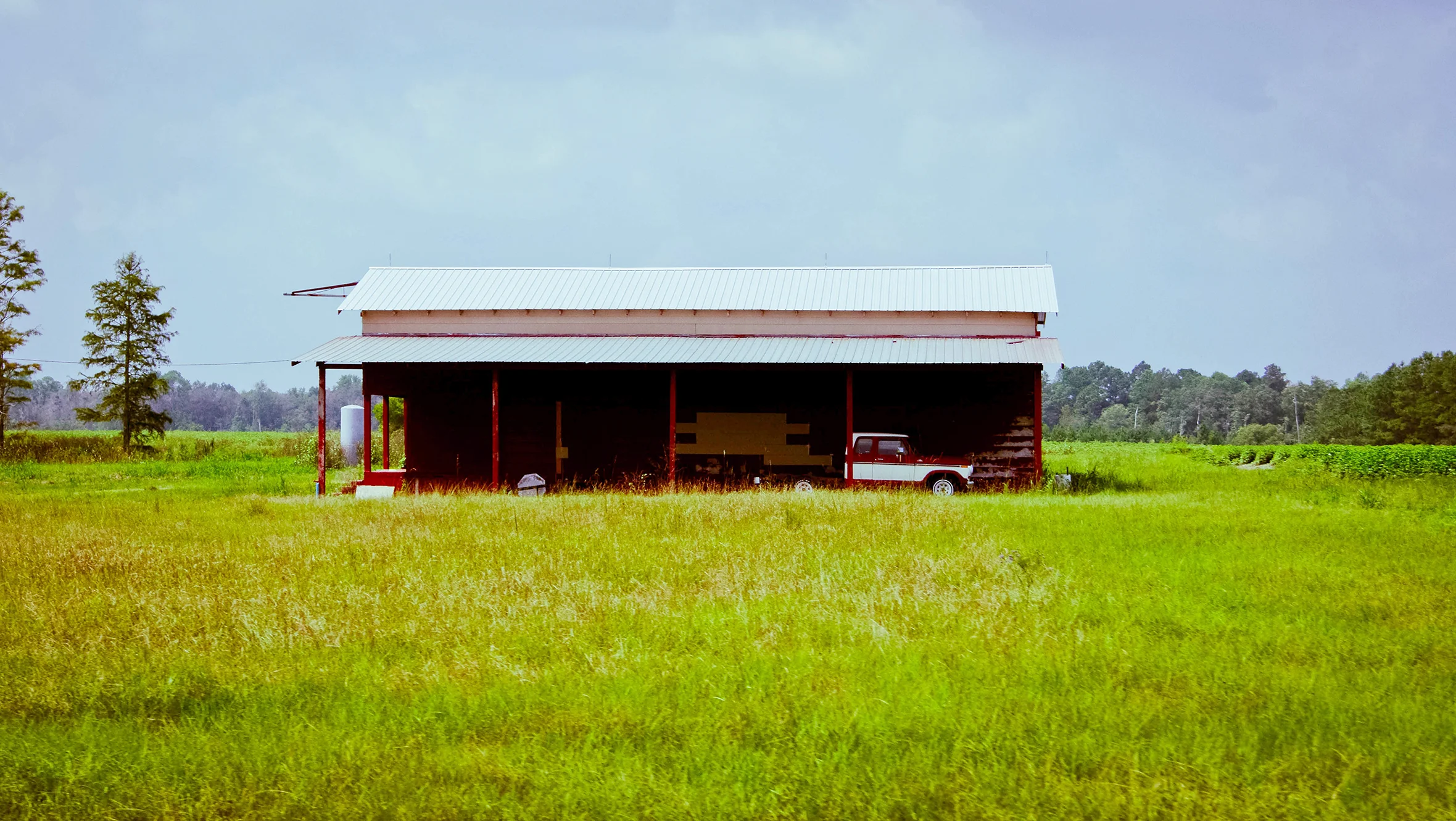 TLS0010LR.jpg