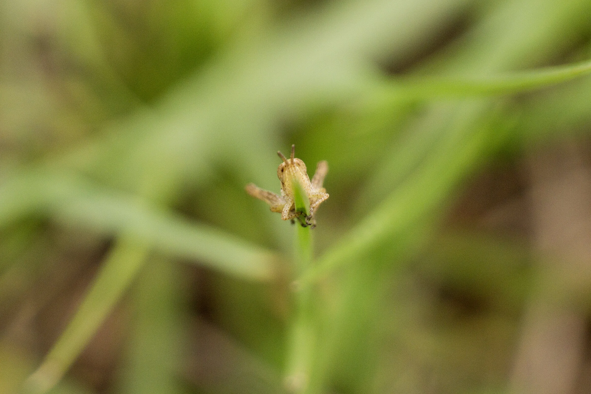 WOI0144LR.jpg