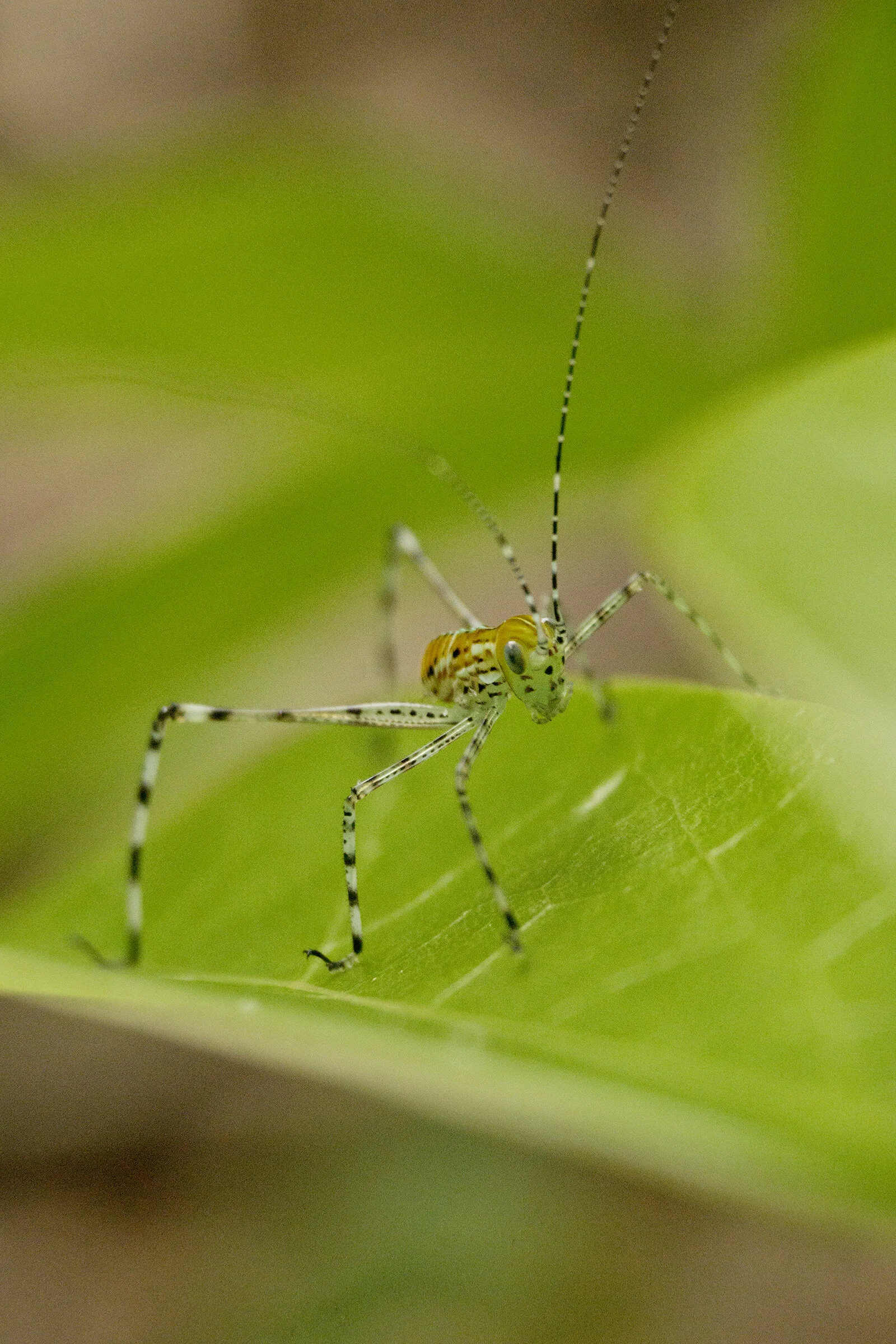 WOI0159LR.jpg