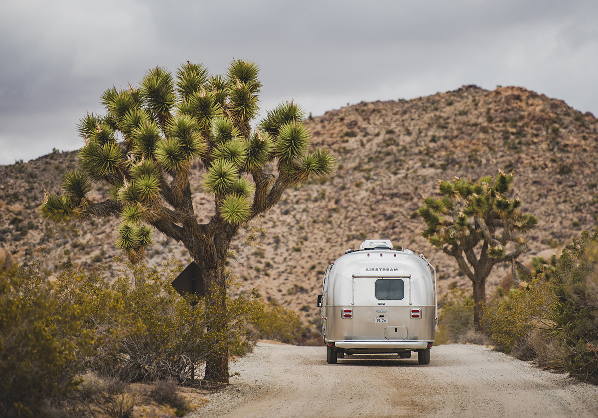 26-Joshua Tree-16.jpg