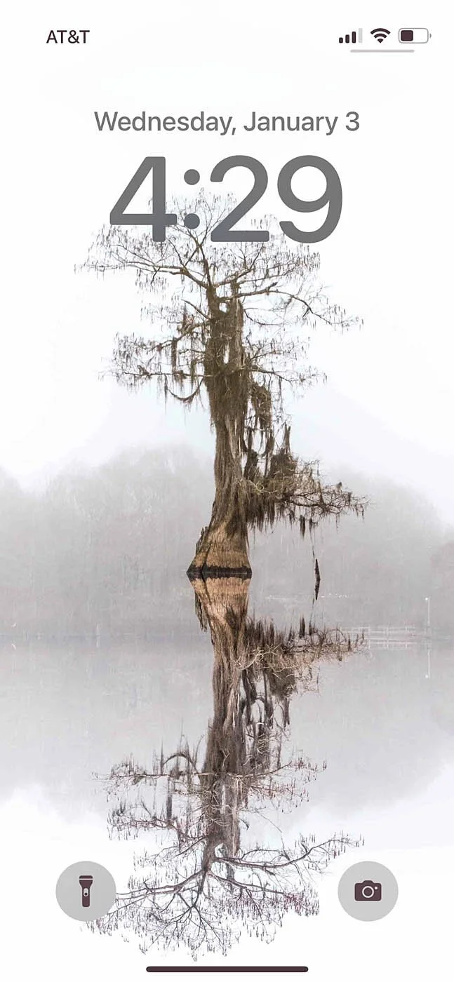 Dead Lakes Wewahitchka Florida - Phone Wallpaper