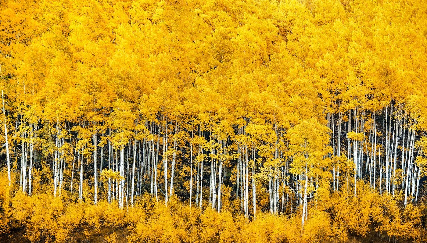 colorado-jpegs-62.jpg