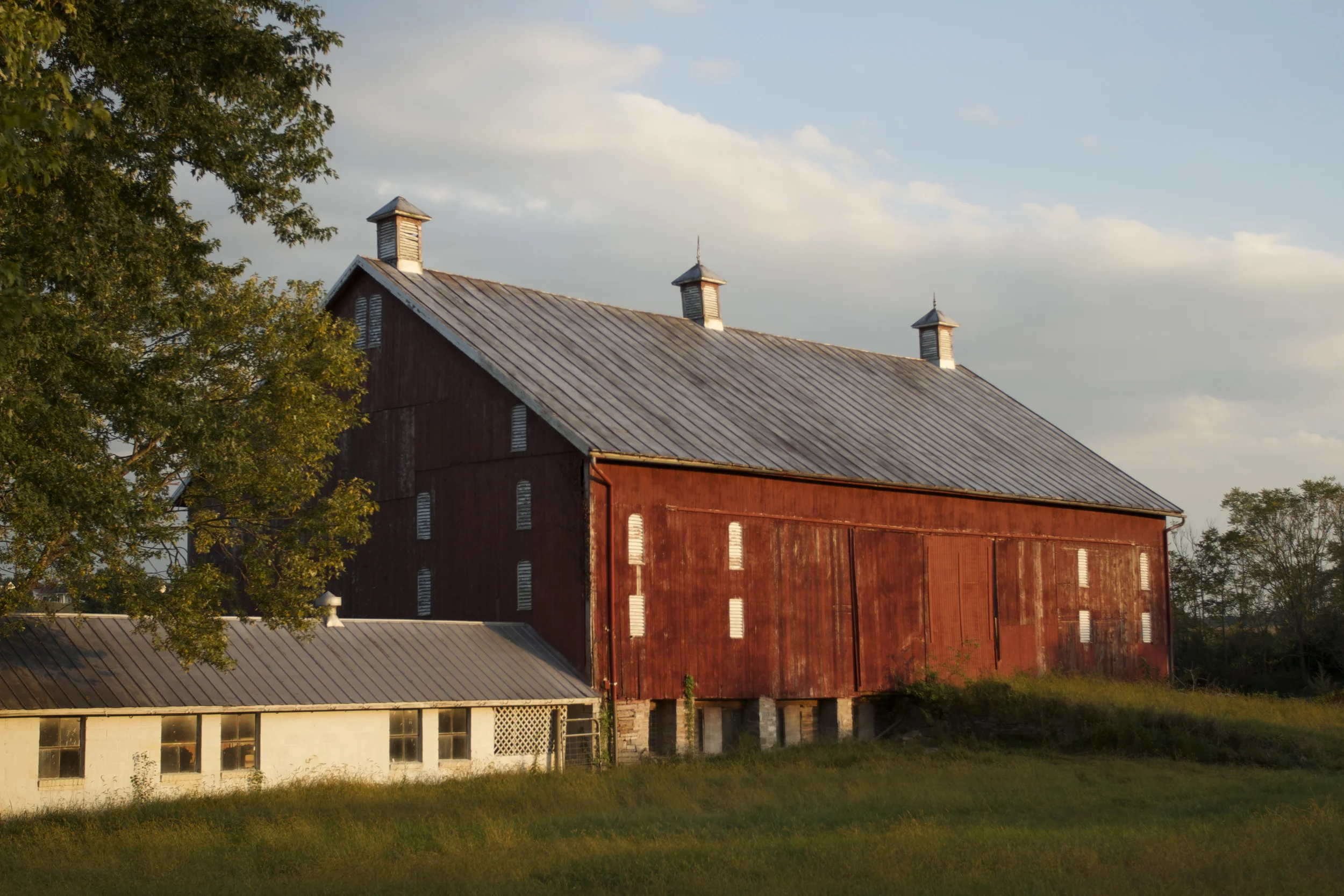 Barn (+ my future workshop!)