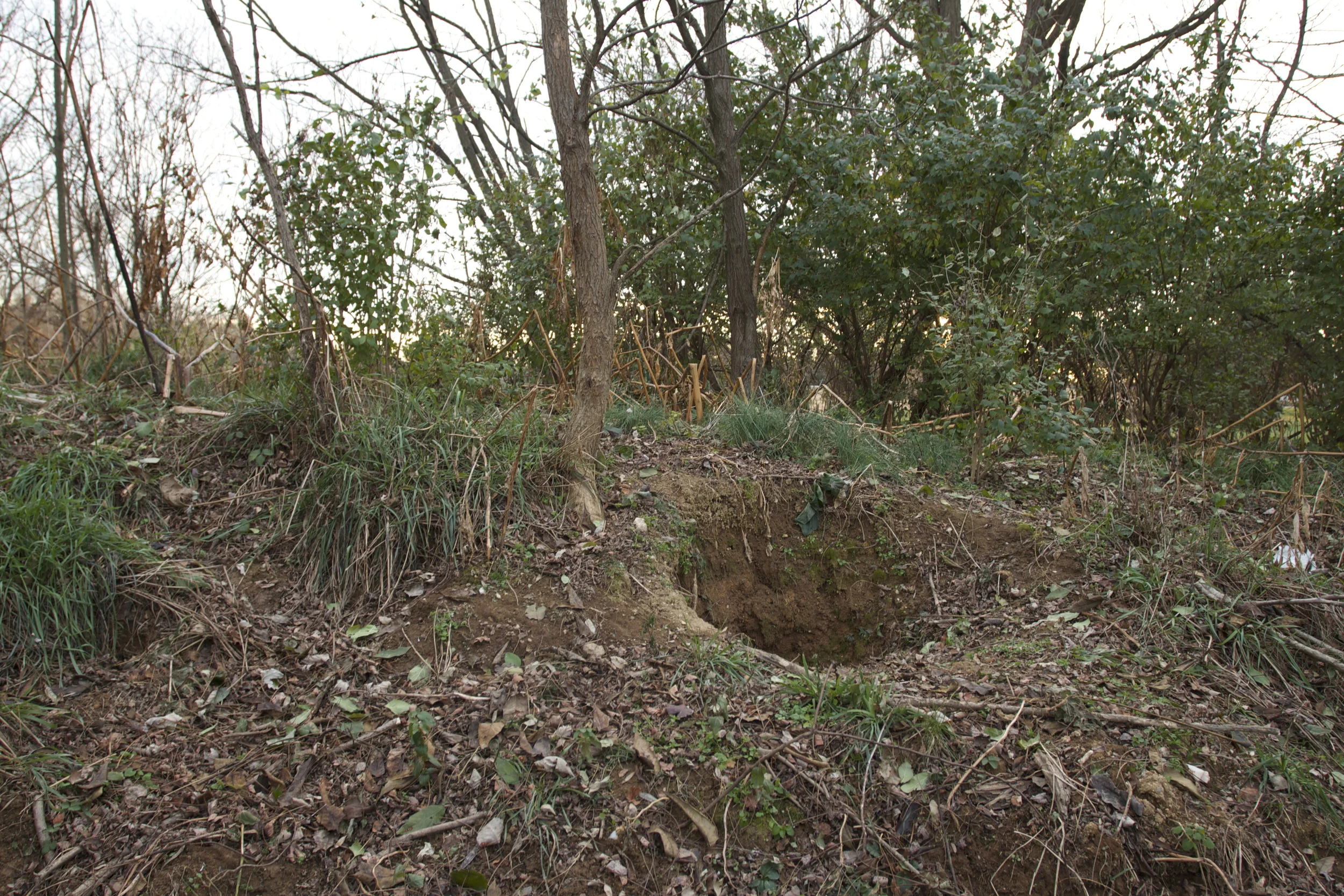 Possibly the largest fox hole in the State of Maryland