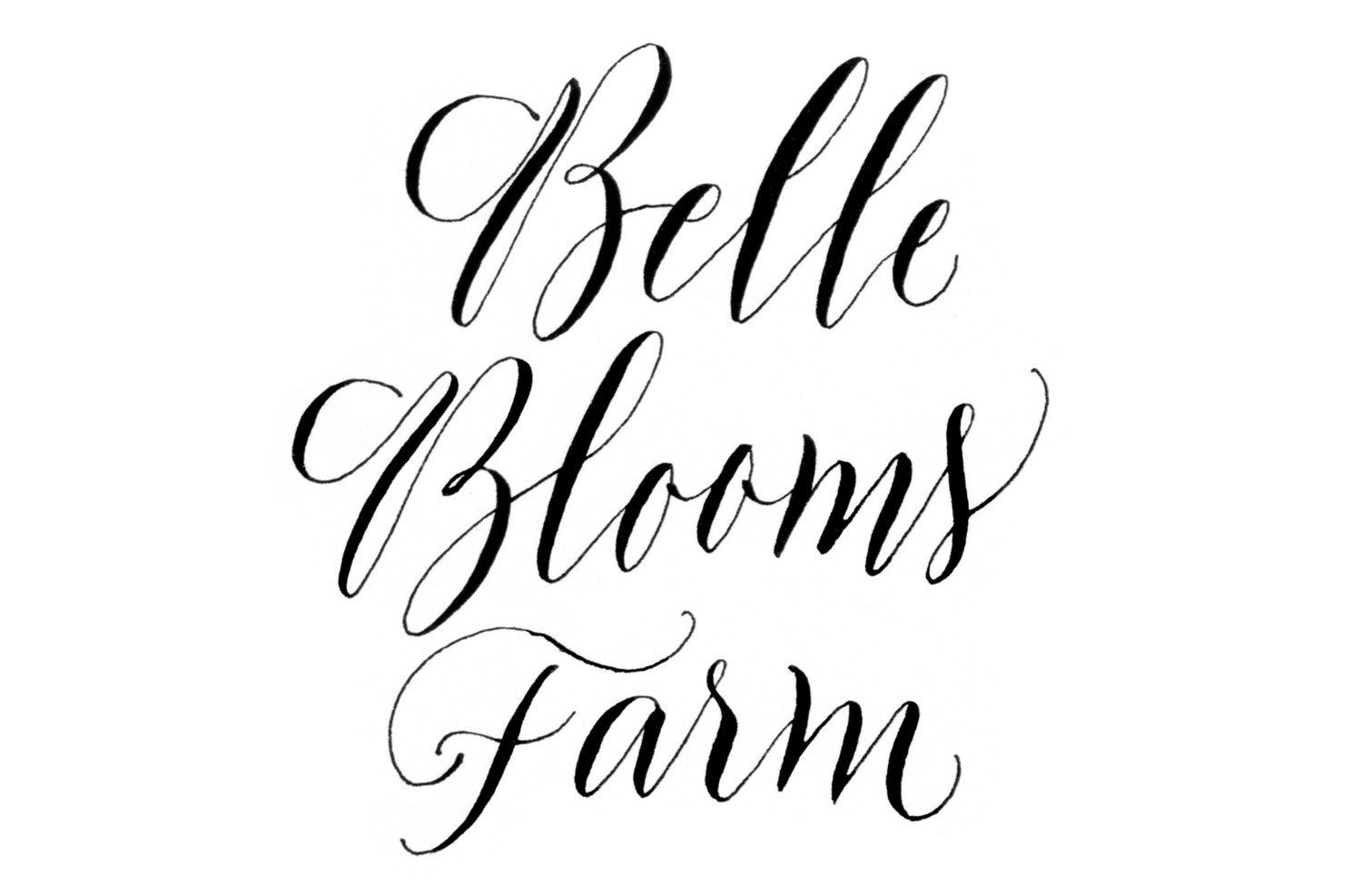 BELLE BLOOMS FARM