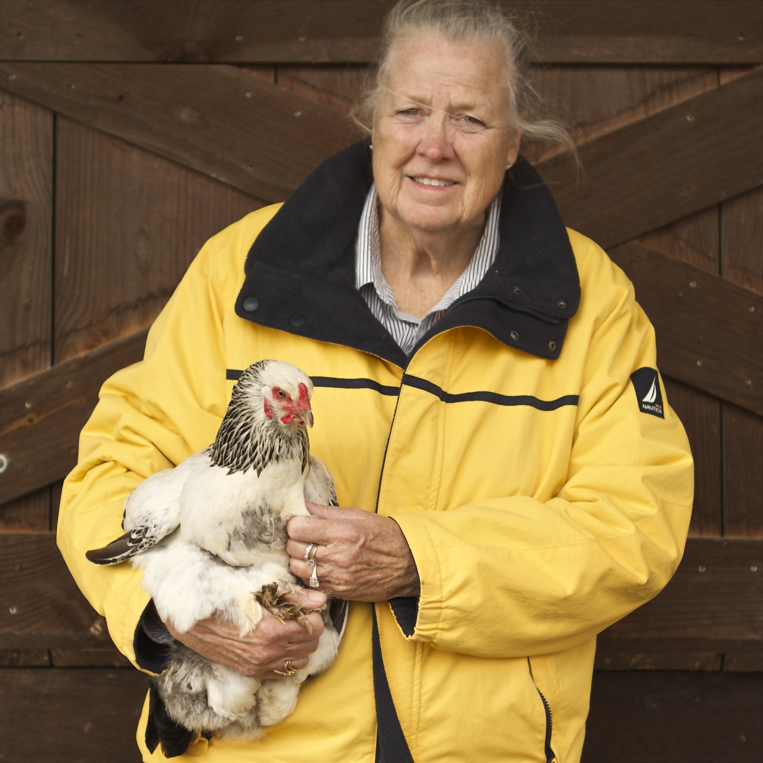 Chicken whisperer