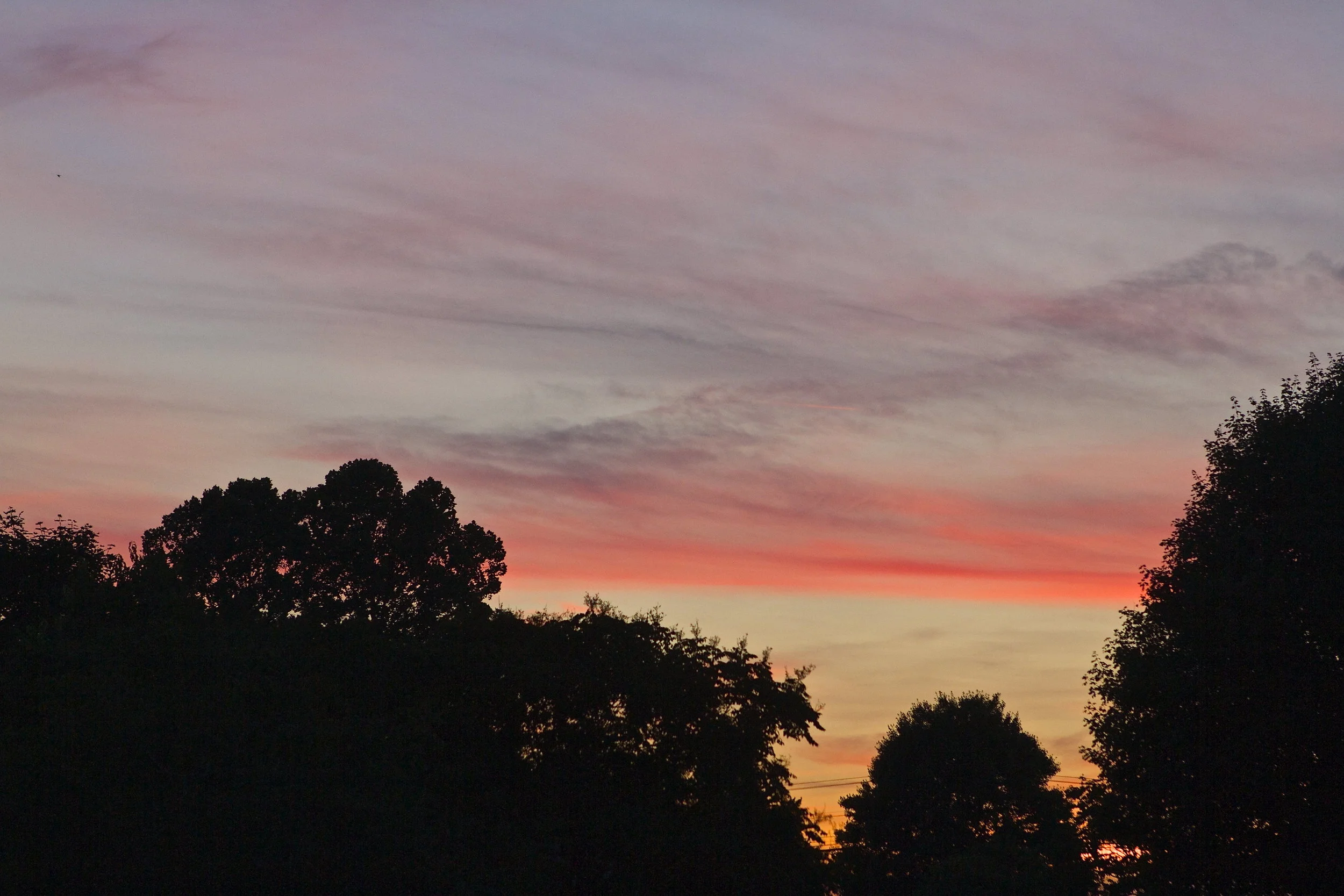 summer night sky