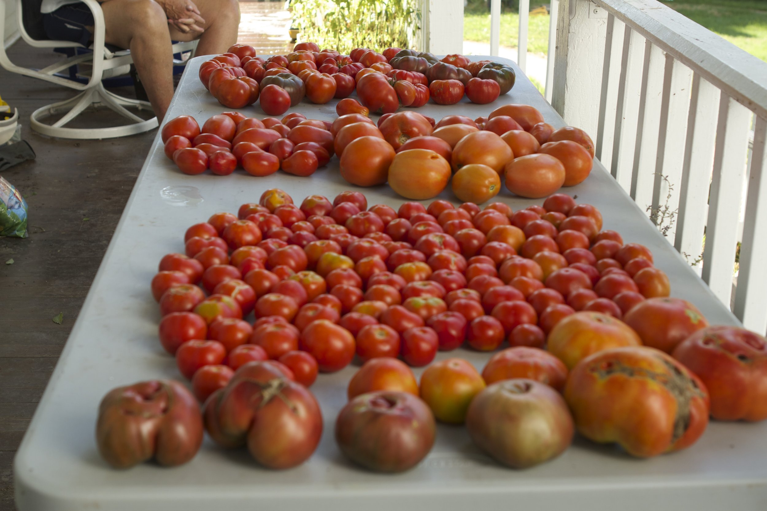 we like tomatoes