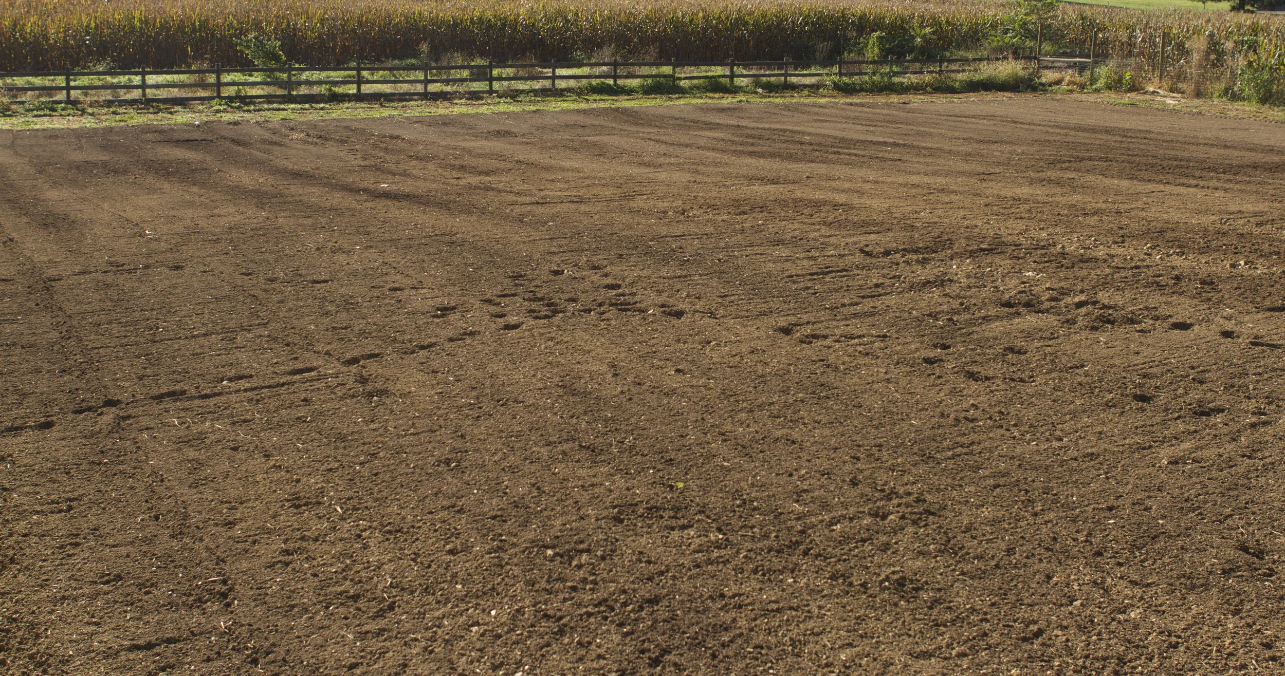 new field...post-field prep