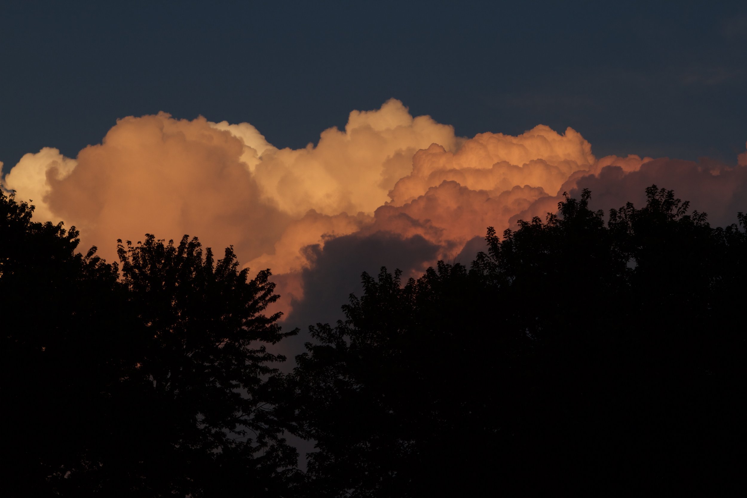 After tonights showers...