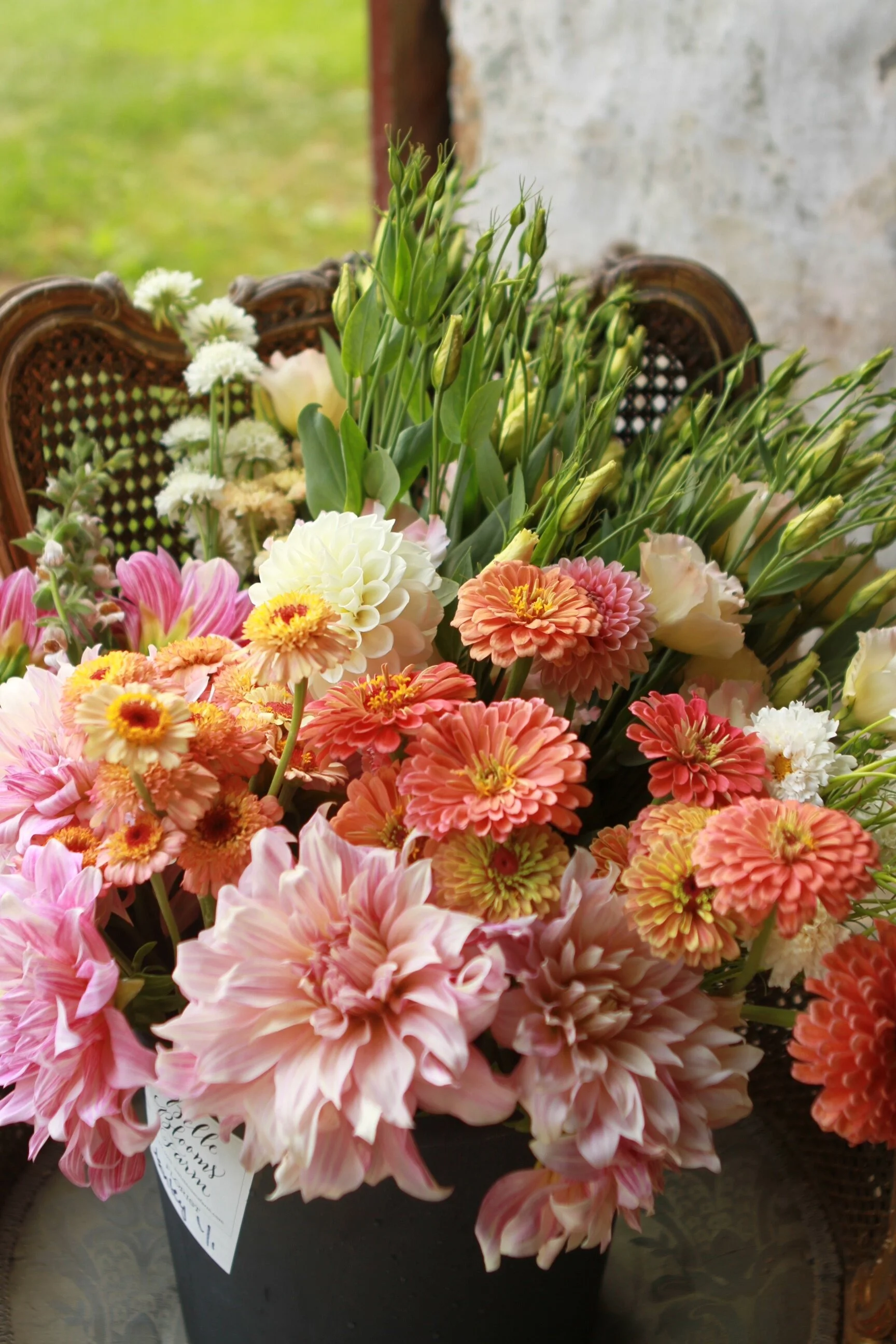 Belle Blooms Farm
