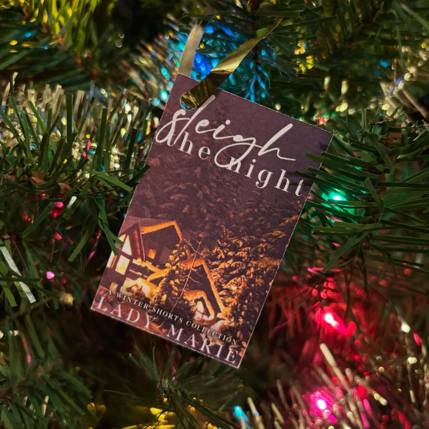 ✨DAY 24 of #25DaysOfHolidayRomance✨

Sleigh the Night by @ladymariewrites 🤩

212 Pages / $4.99 or Kindle Unlimited

SUMMARY: A weekend cabin trip is always a good idea, especially when it involves your best friends. Hot cider, snowball fights, playi