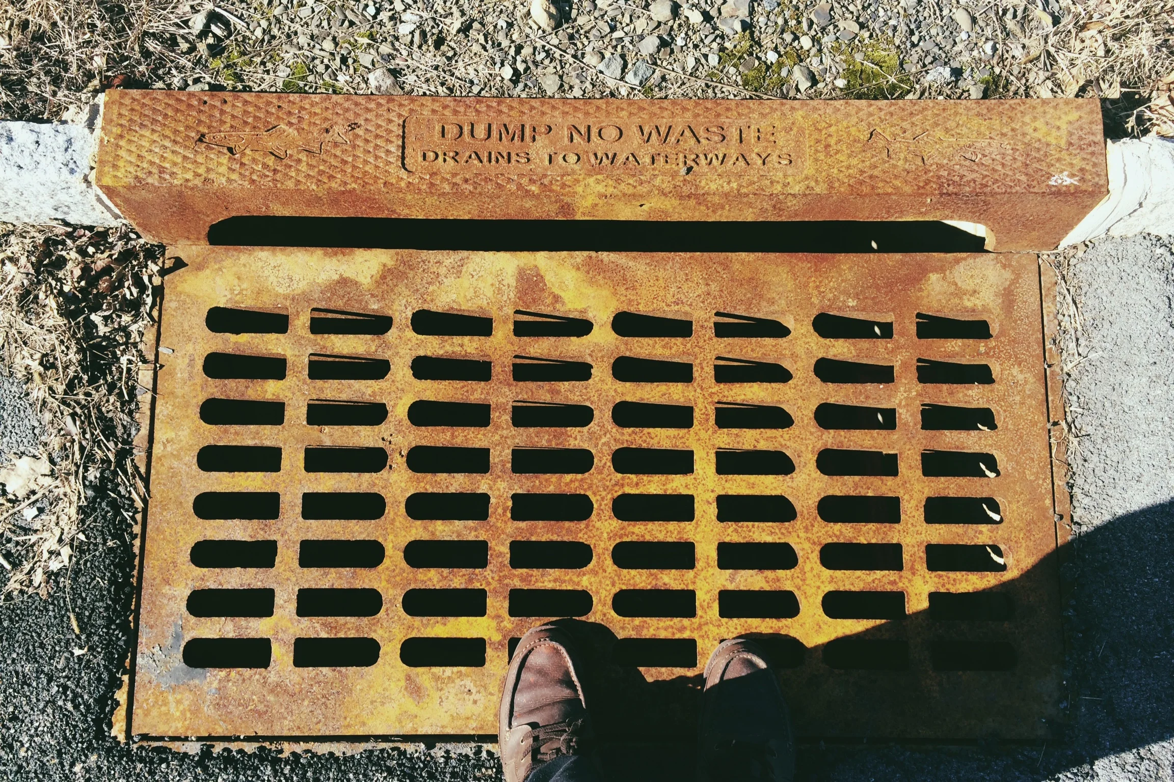 "From Where I Stand"