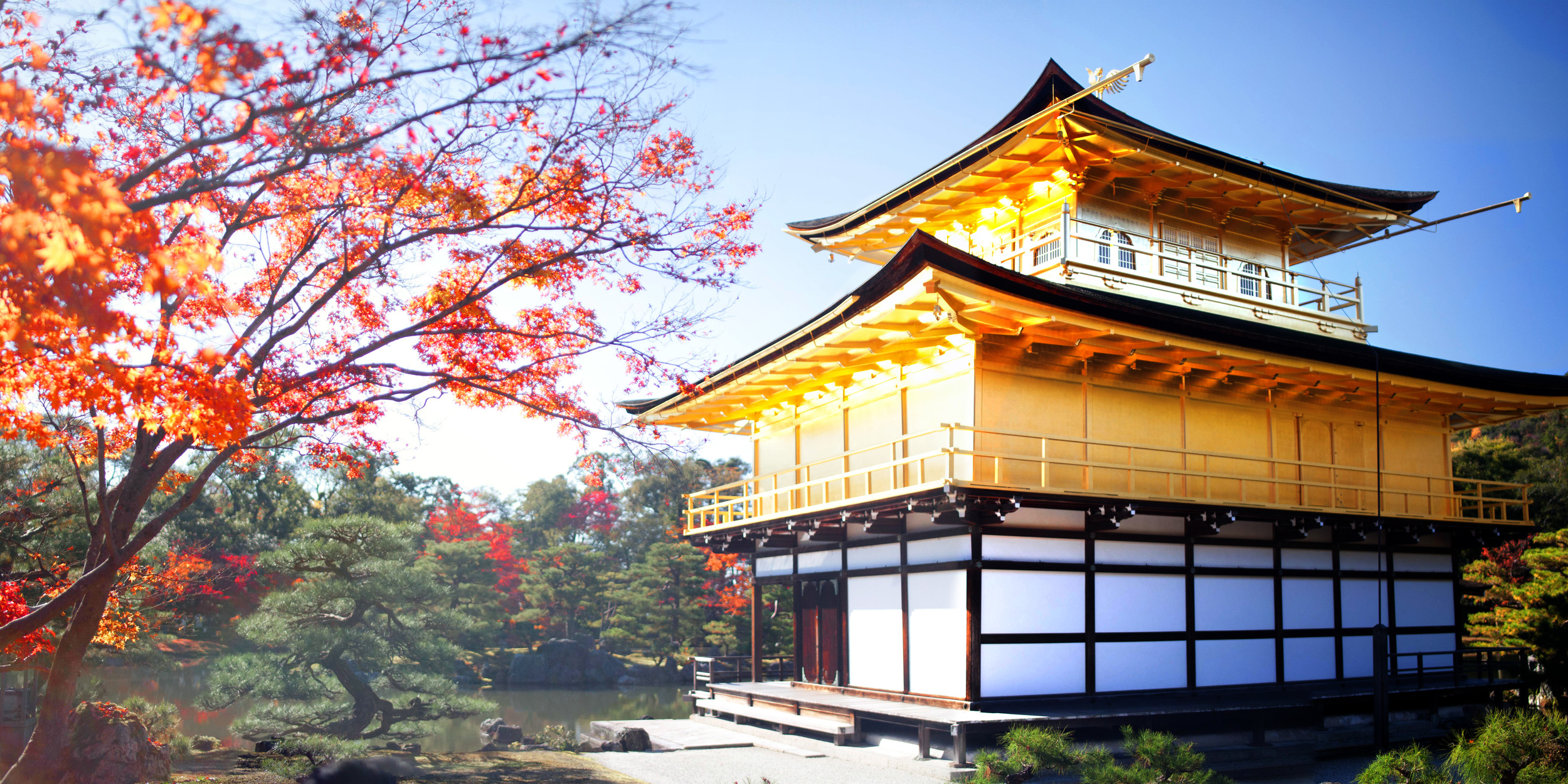Morning Sun at Kinkaku-ji