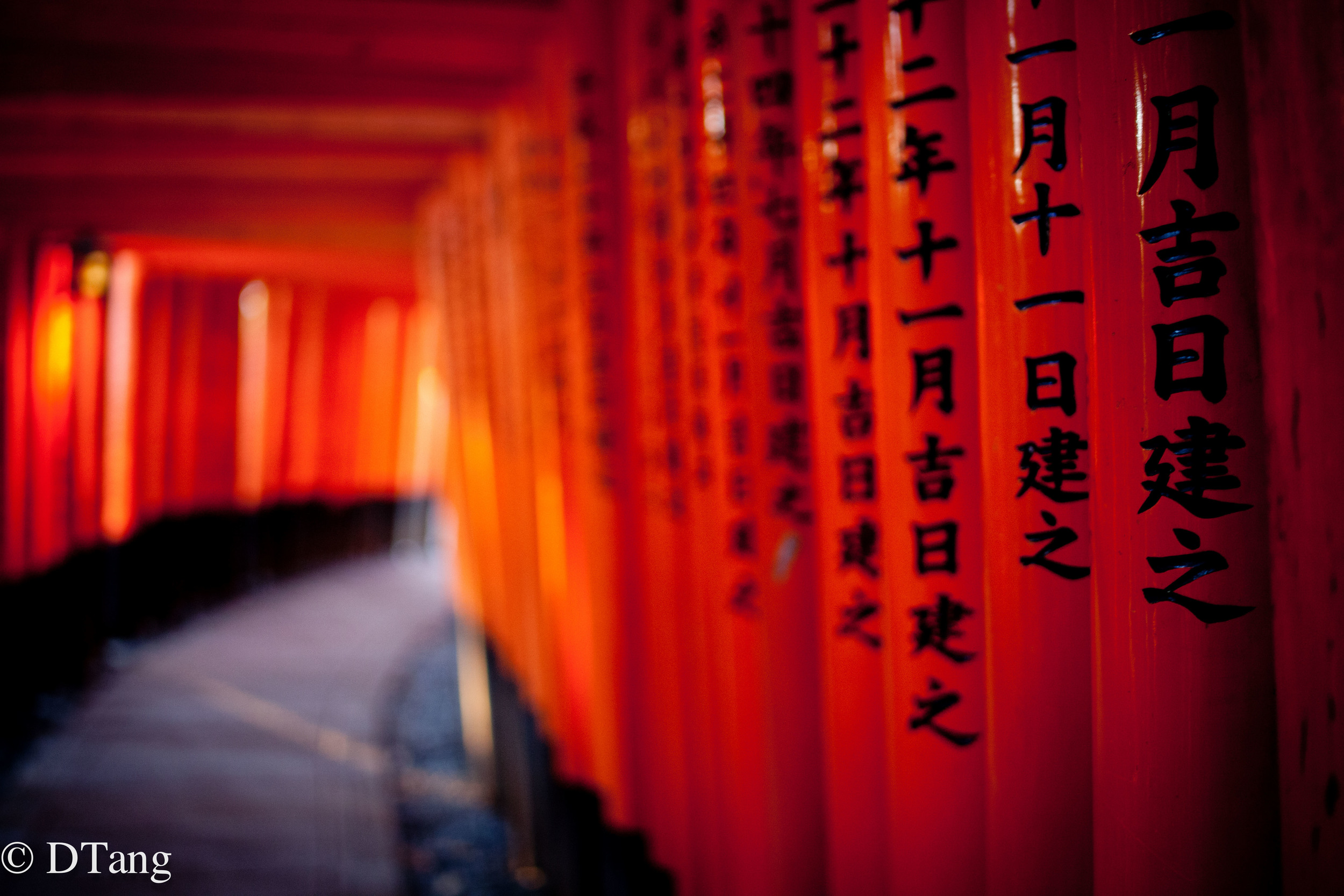 Fushimi Inari Torii Gates