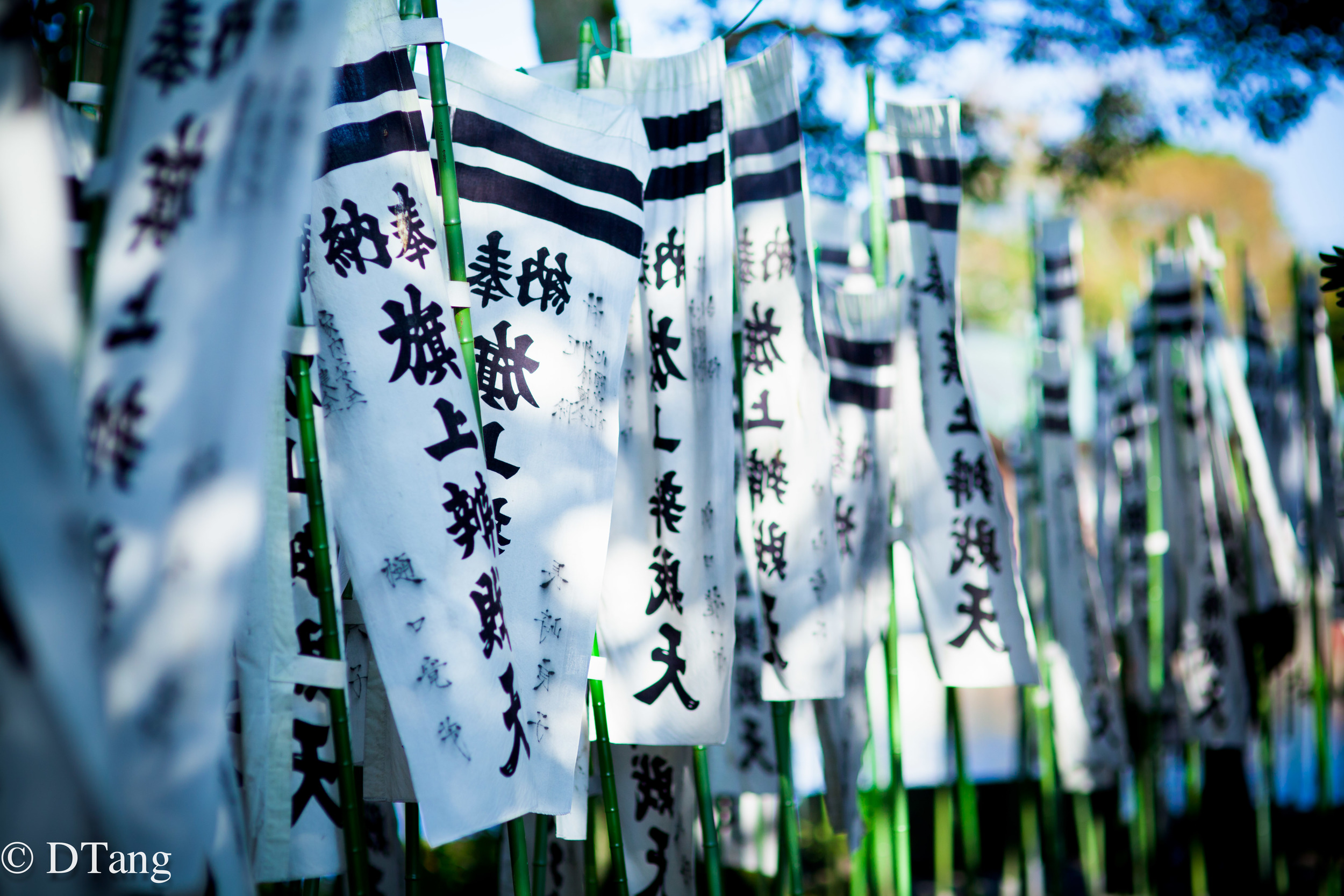 Japan Adventures (web)-4386.jpg