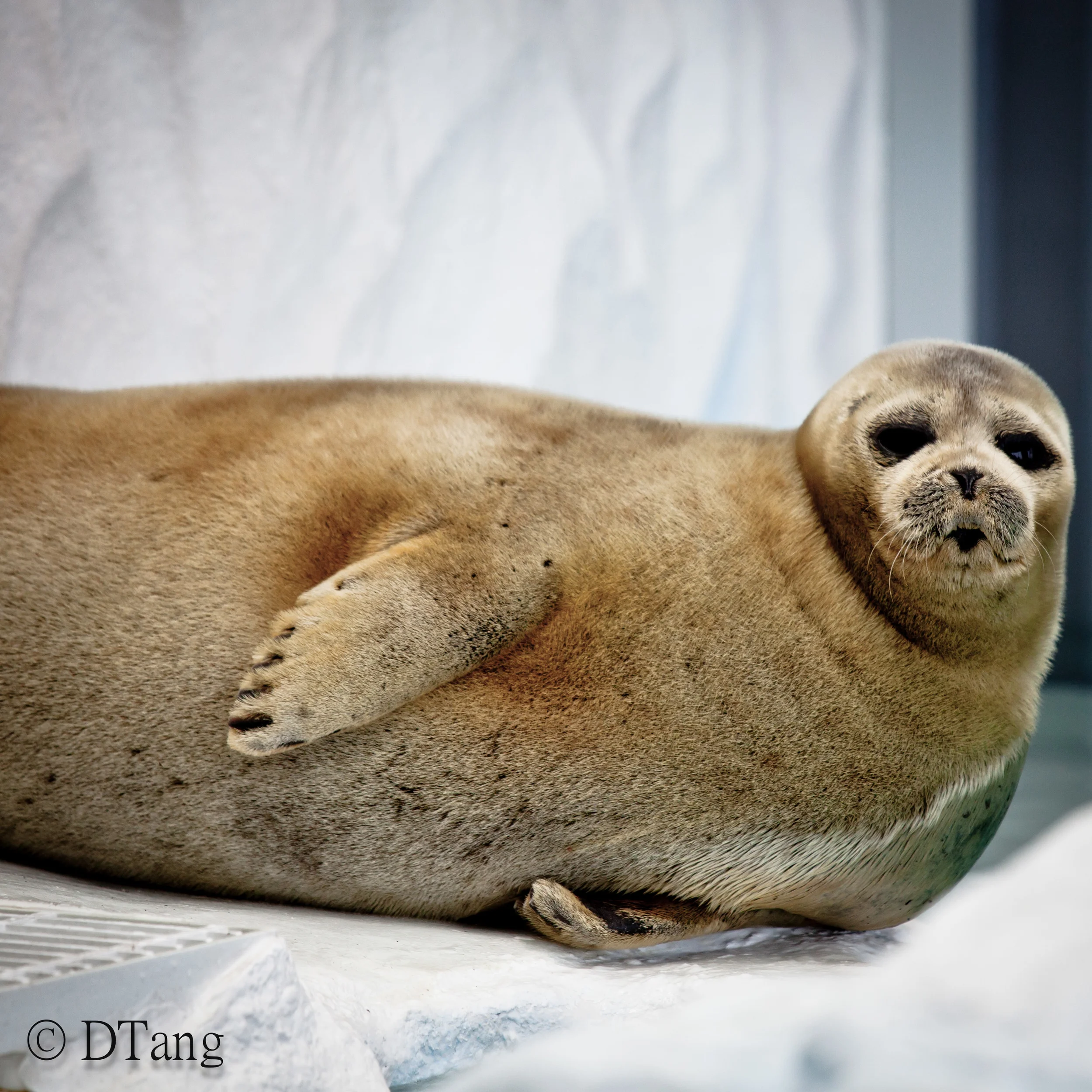 Hey, who're you looking at?