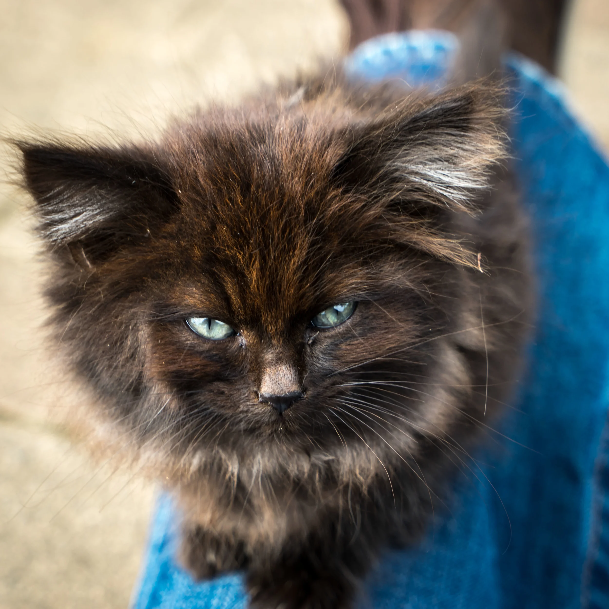 Who're you looking at?