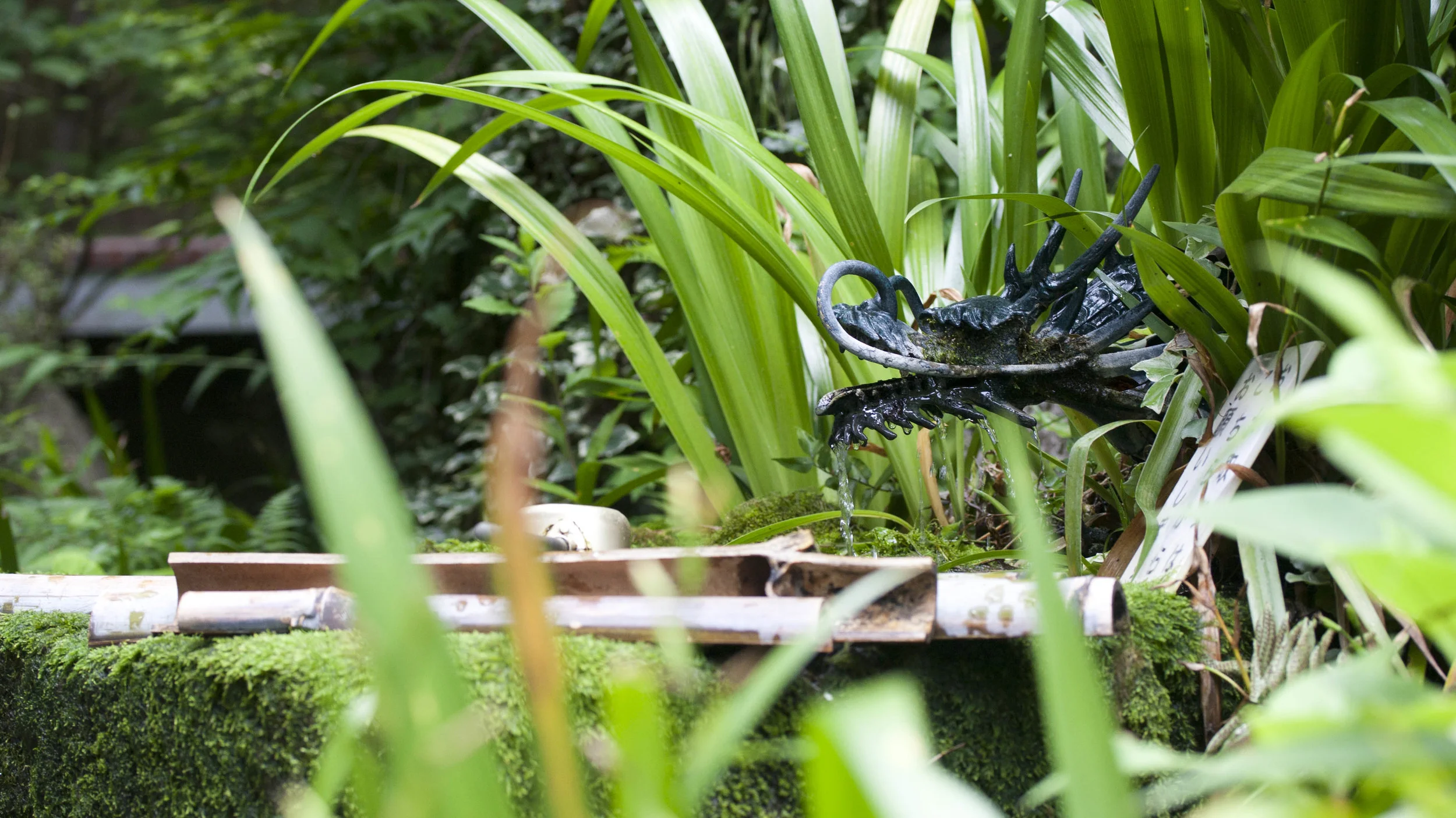 Japan Adventures-2130.jpg