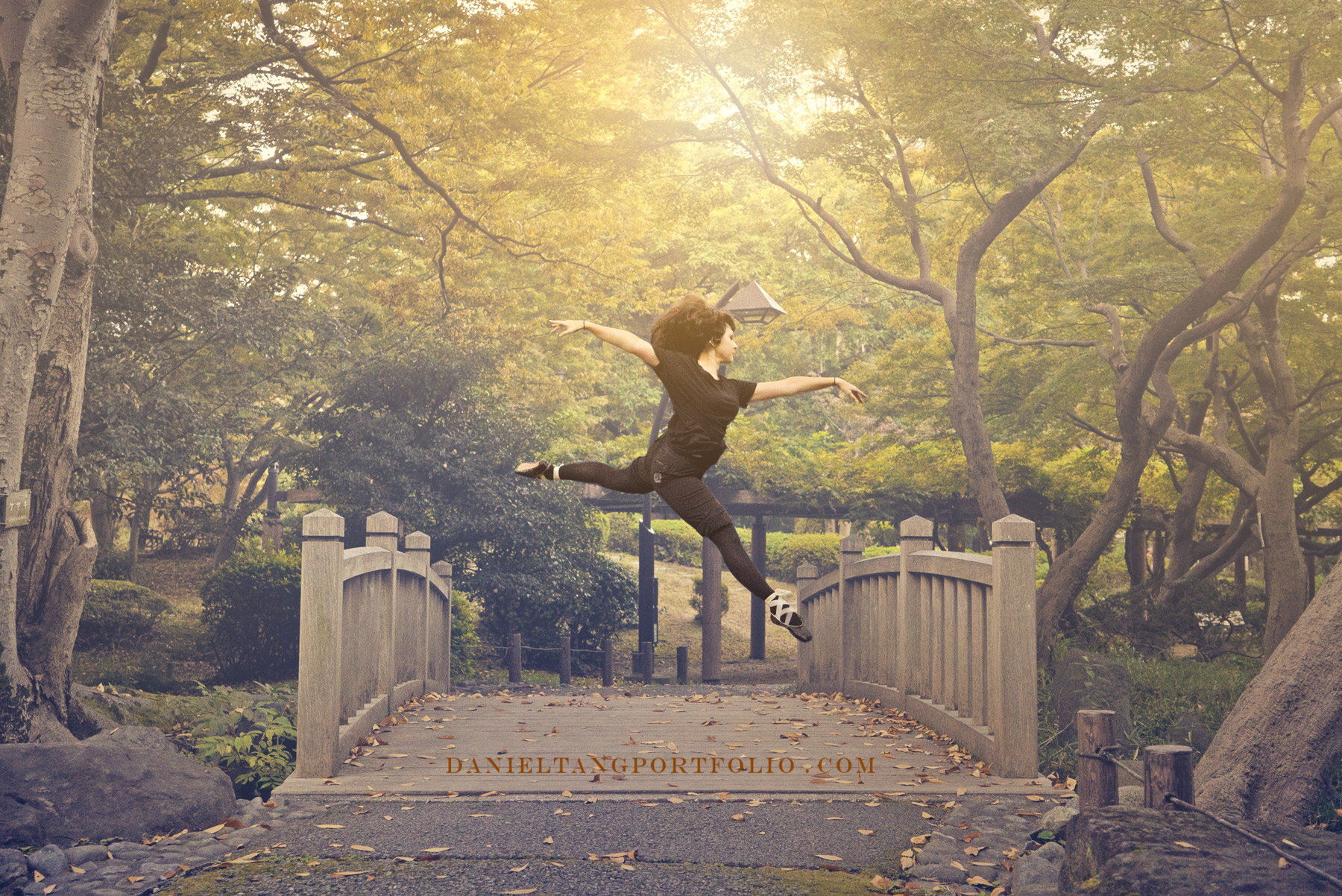 飛んで、ノエメ！