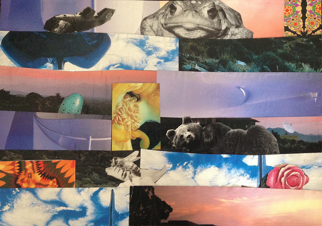 Frog Days' - 11"x14" -