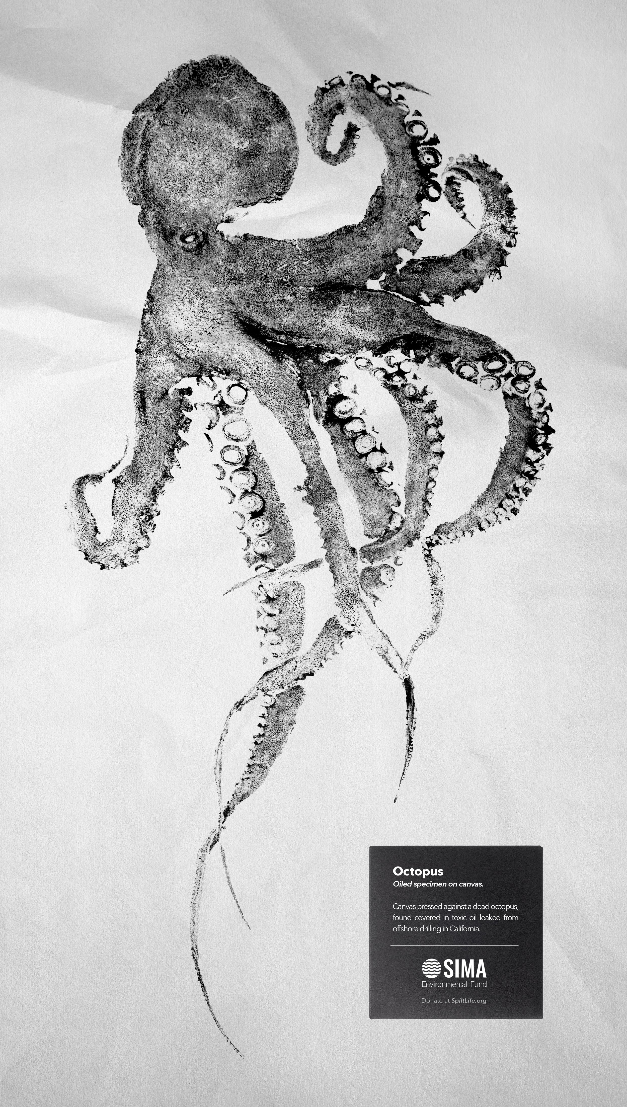 Octopus OK.jpg