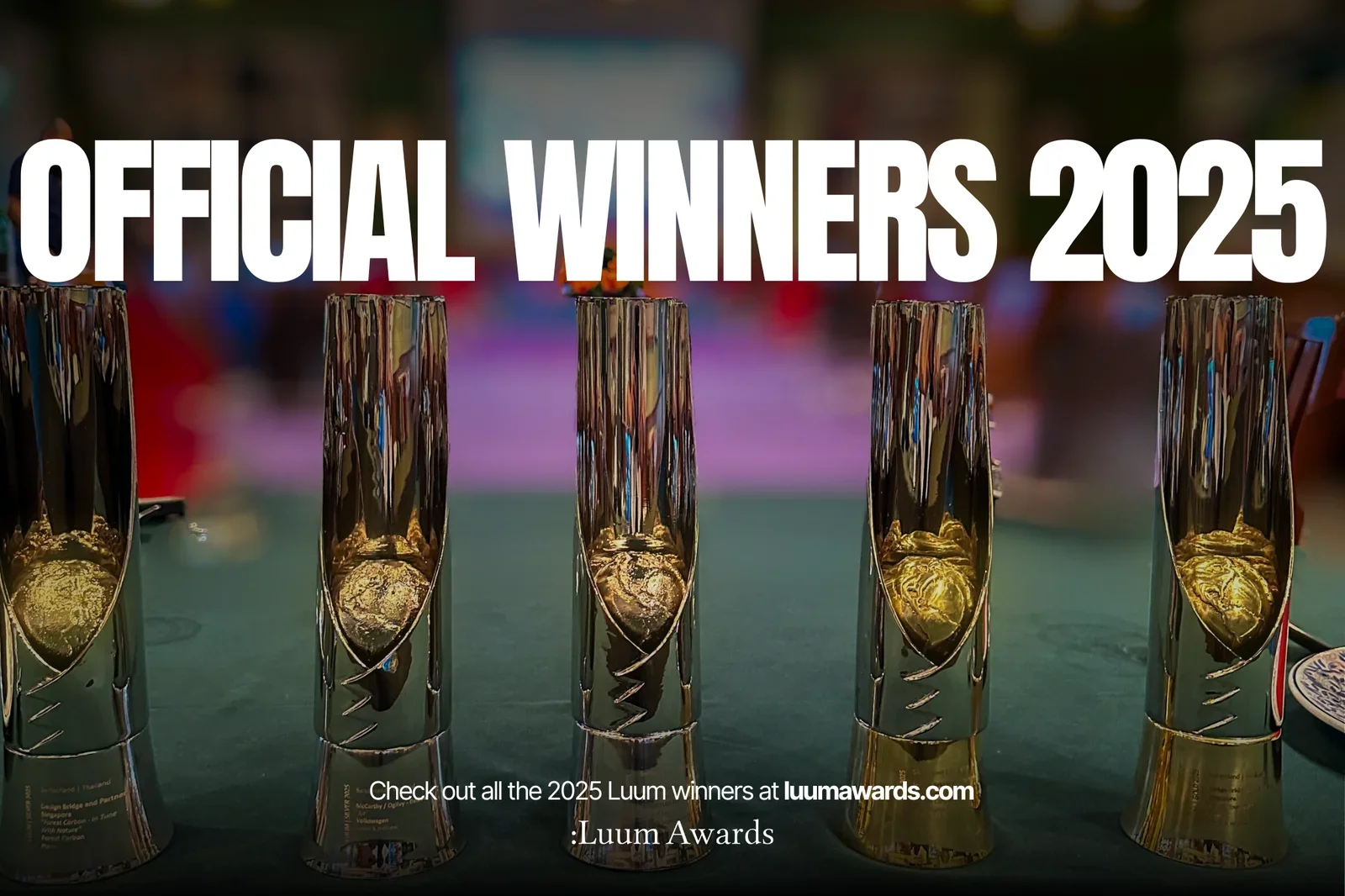 Luum Awards: Winners Announced