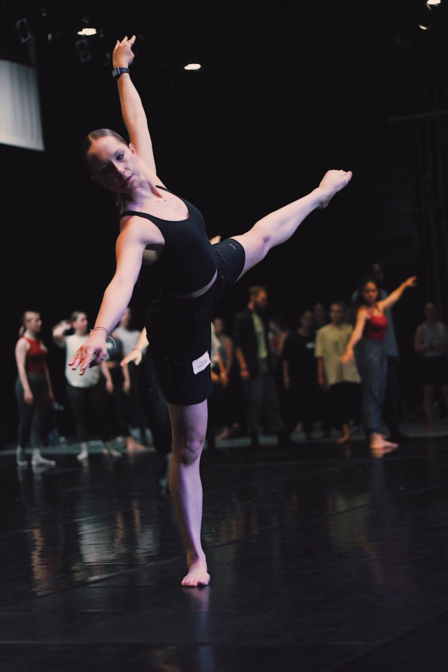 Water Street Dance Festival | August 1st - 5th, 2026