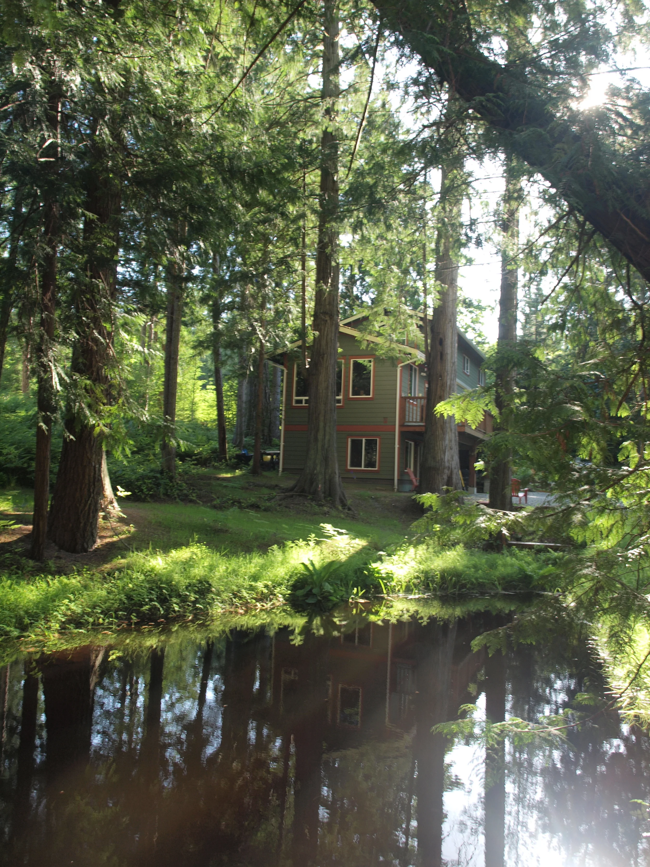 The pond at Nomadic Bull Gabriola