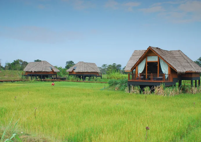 The Vil Uyana 'Floating' on Rice Paddies